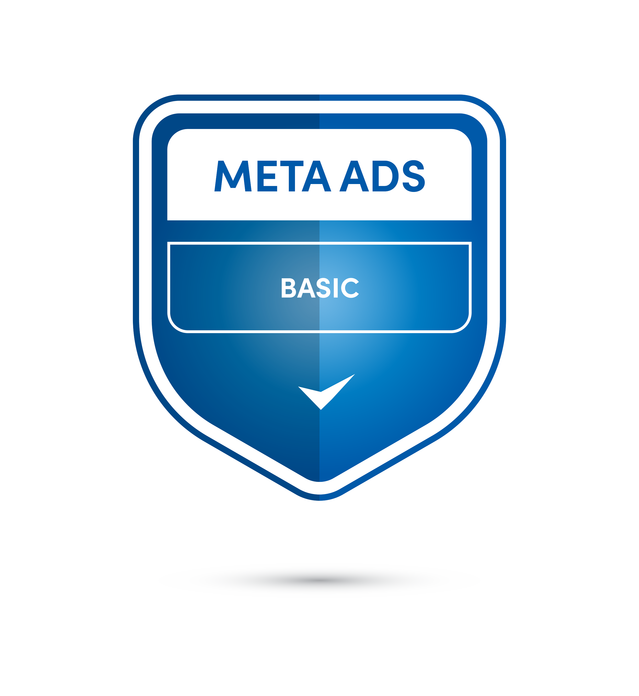 Meta Ads: Basic