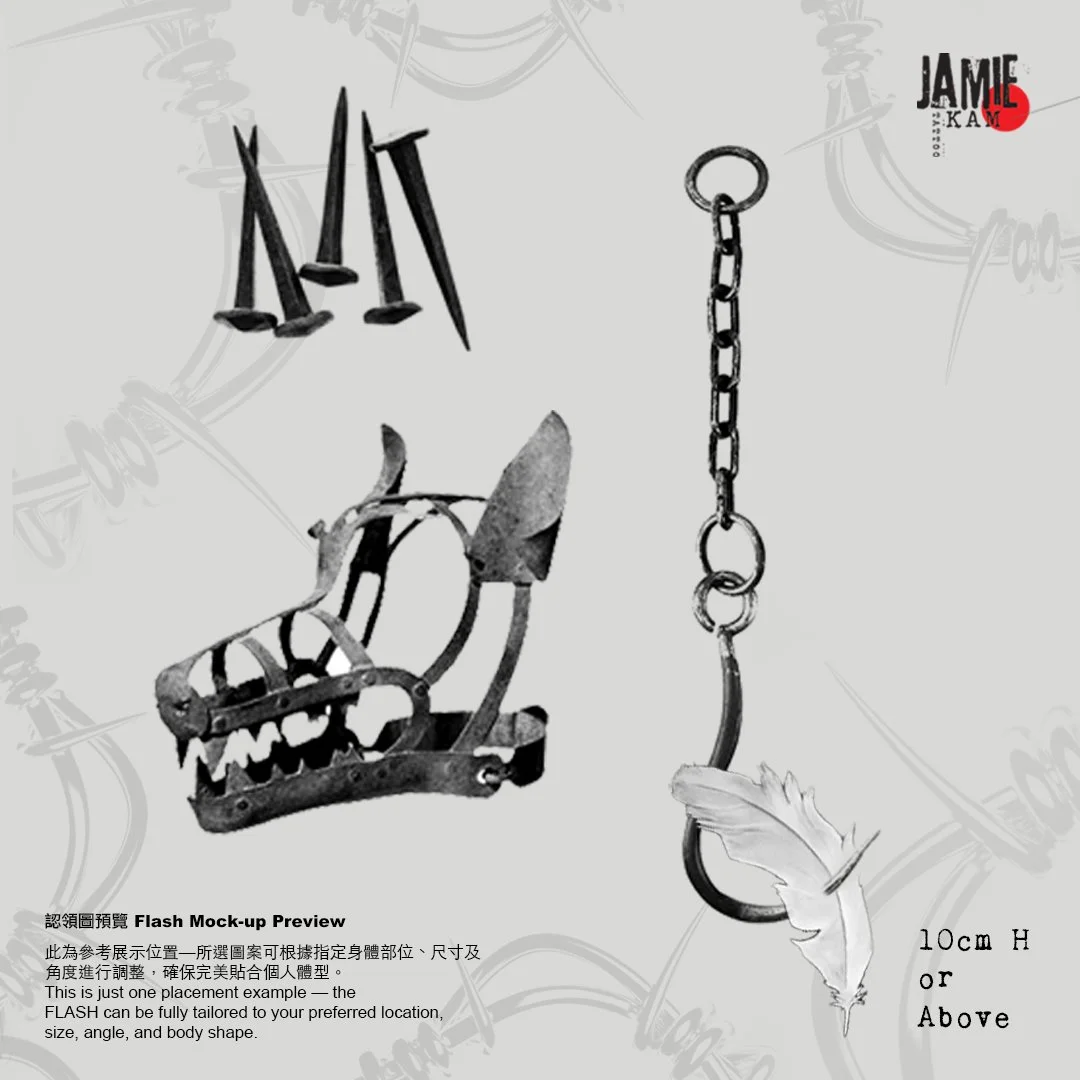 Flash WS V 005.jpg