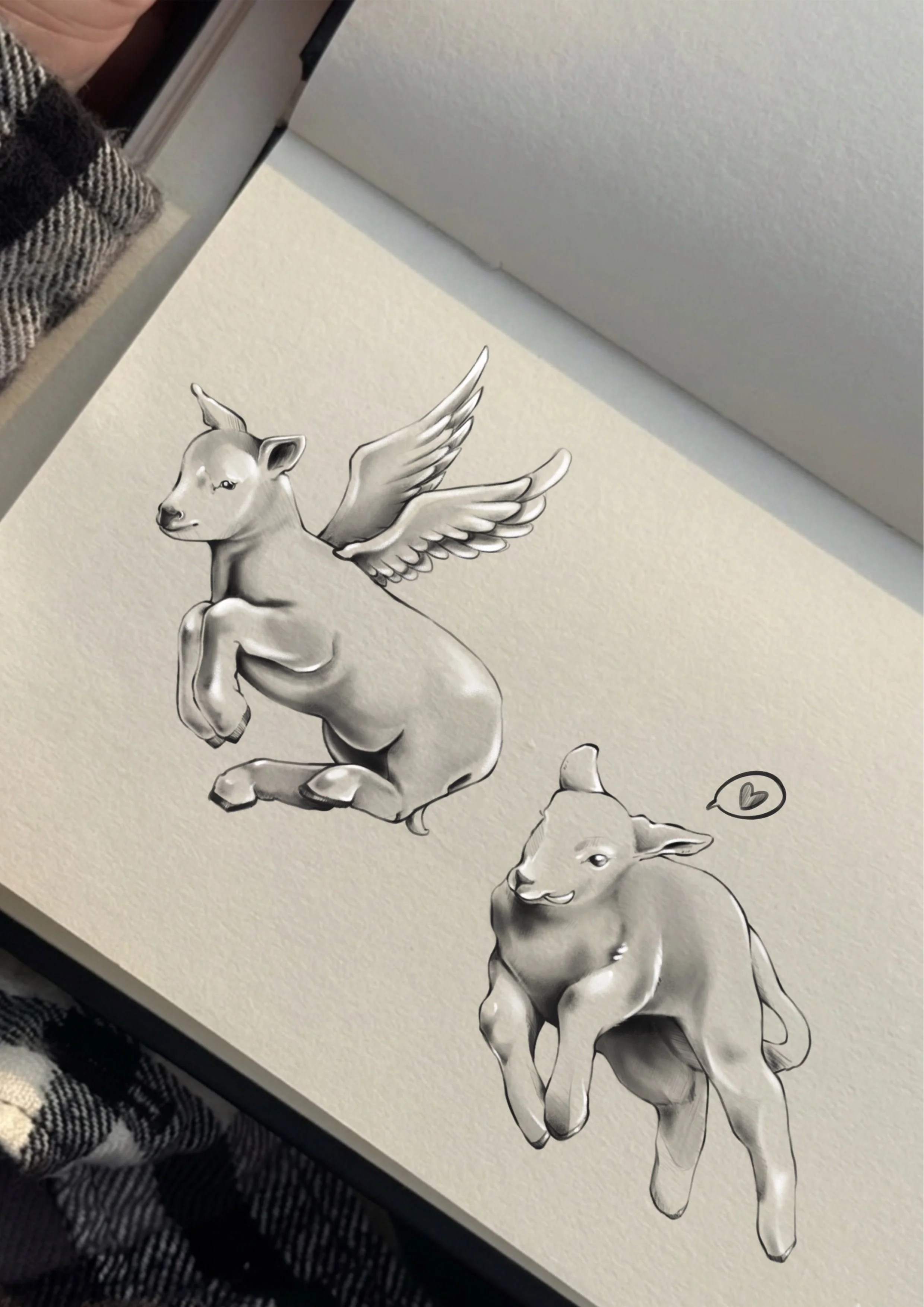 未命名的作品(2).jpg