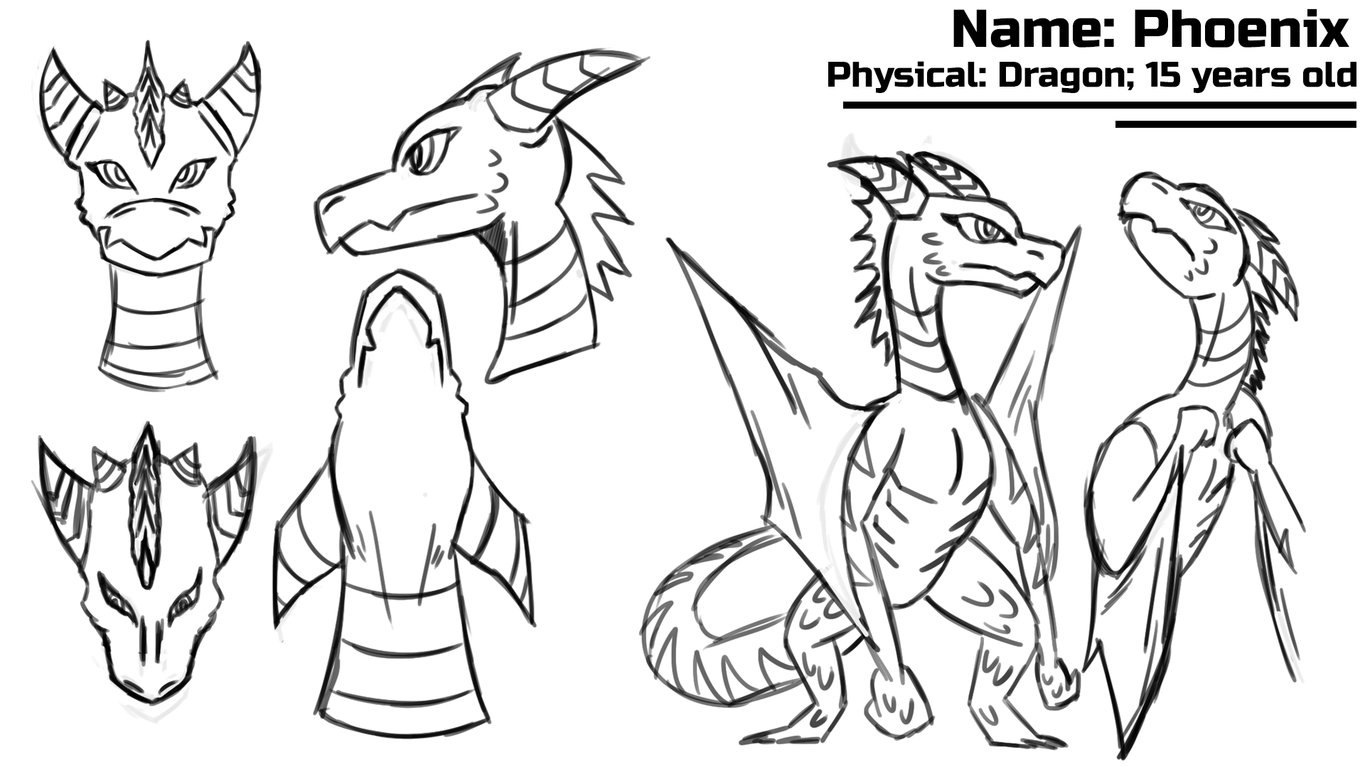 JJackson_Phoenix_Sketches.png