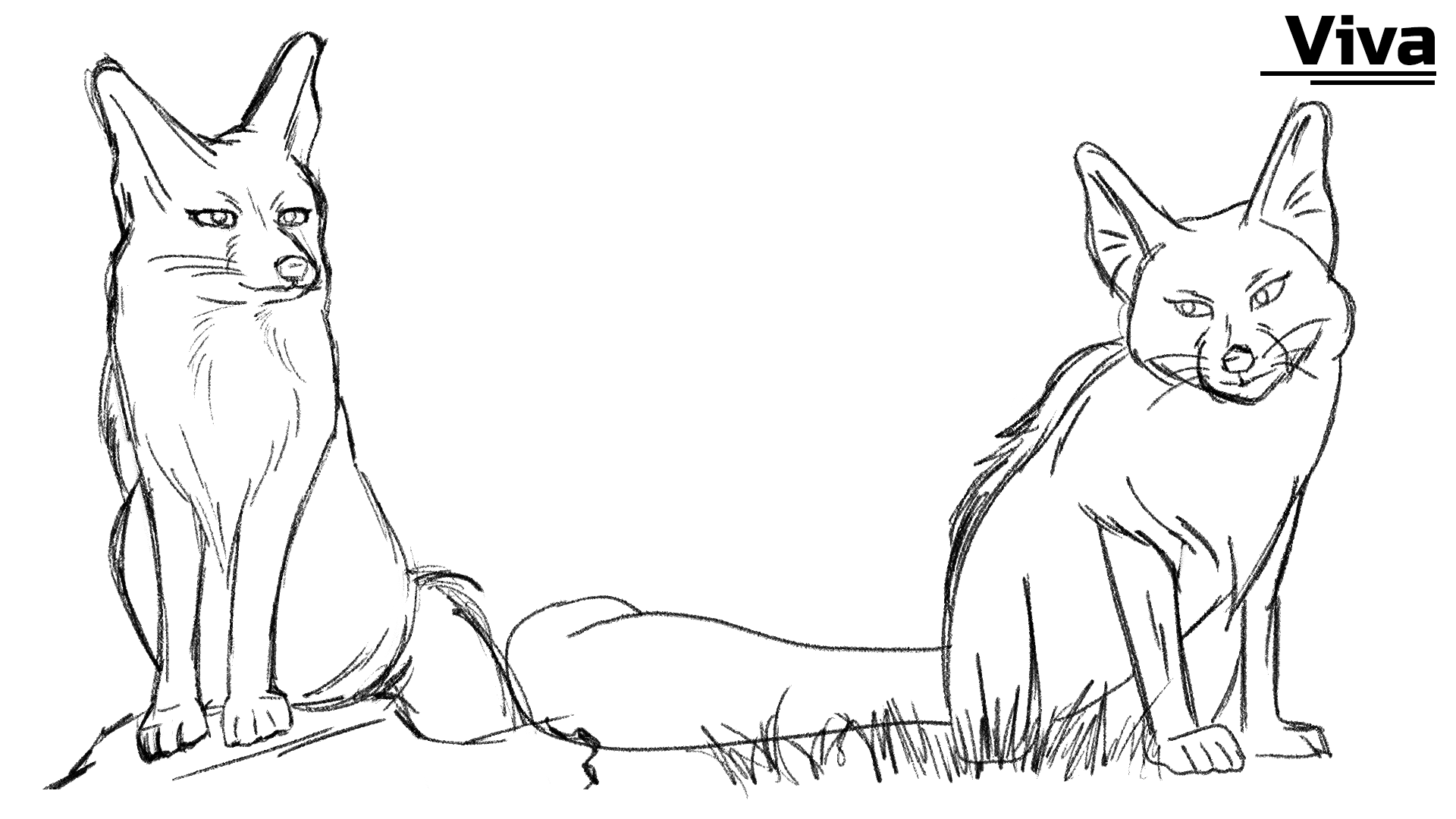 JJackson_Project1_VivaConcept.png