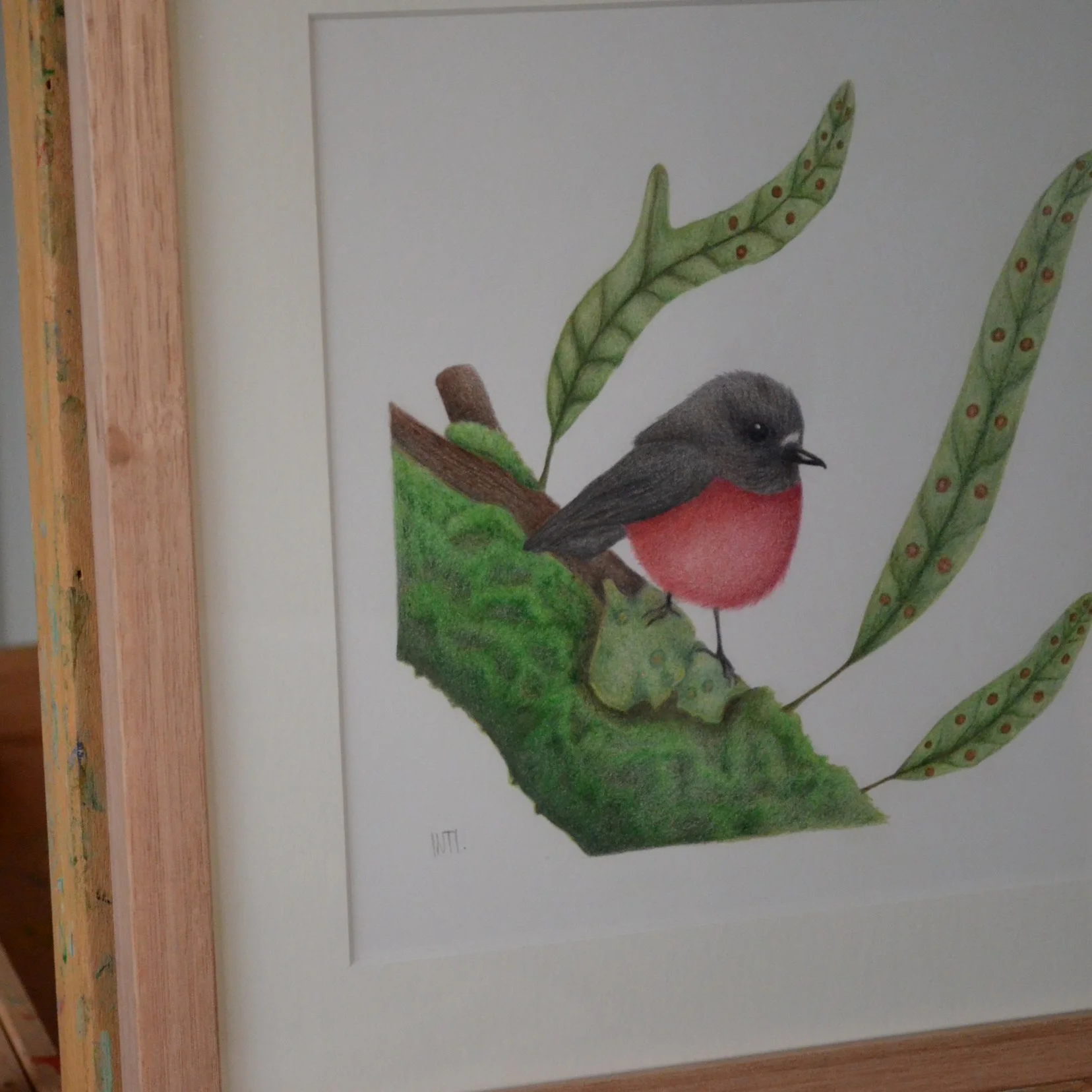Pink Robin and Kangaroo Fern Framed Original