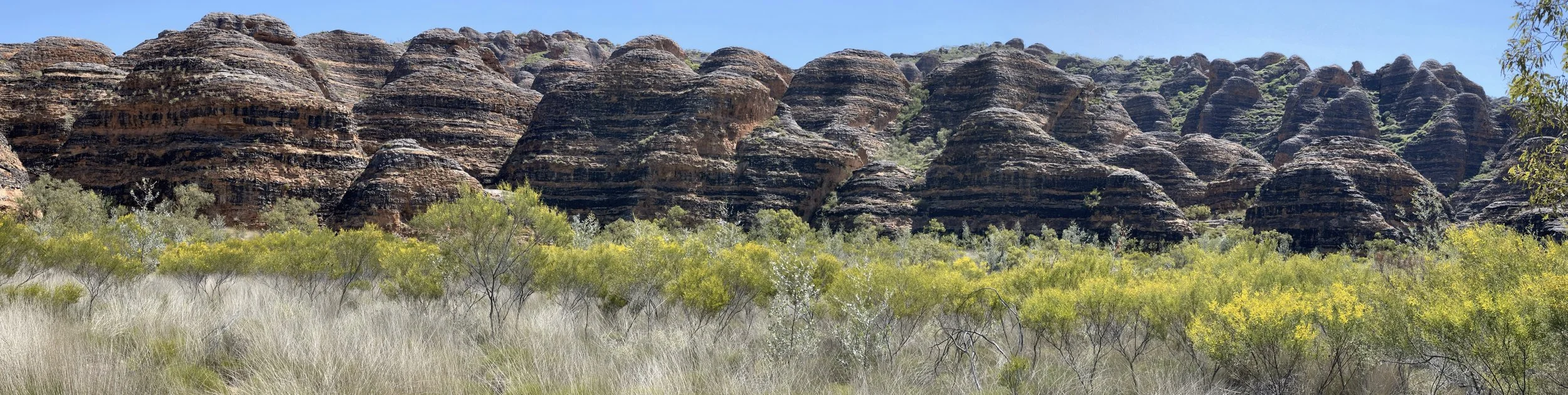 A landscape of large, rugged rocks with horizontal bands, surrounded by green and yellow shrubs and plants under a clear blue sky.