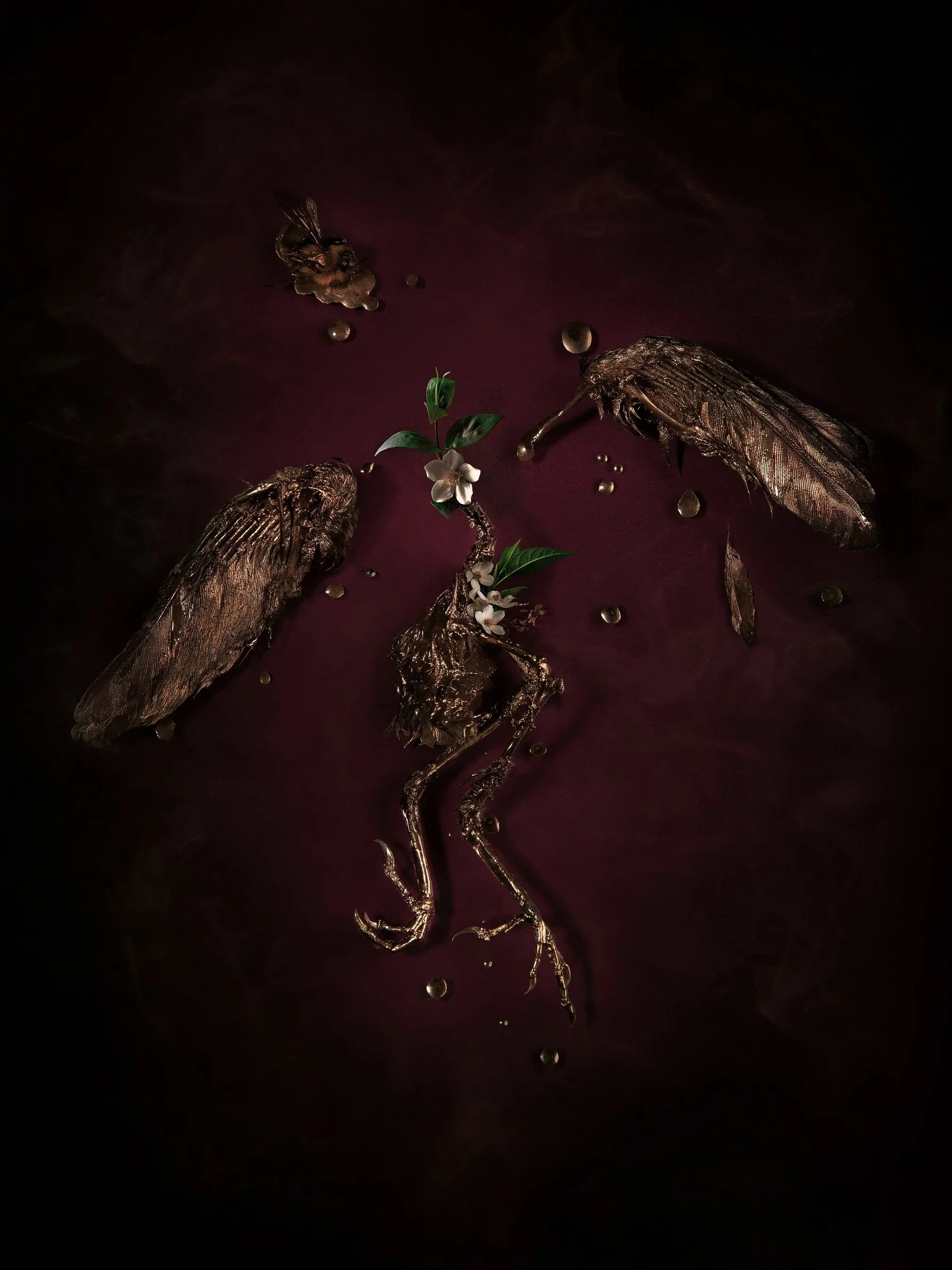Oiseau_WEB.jpg