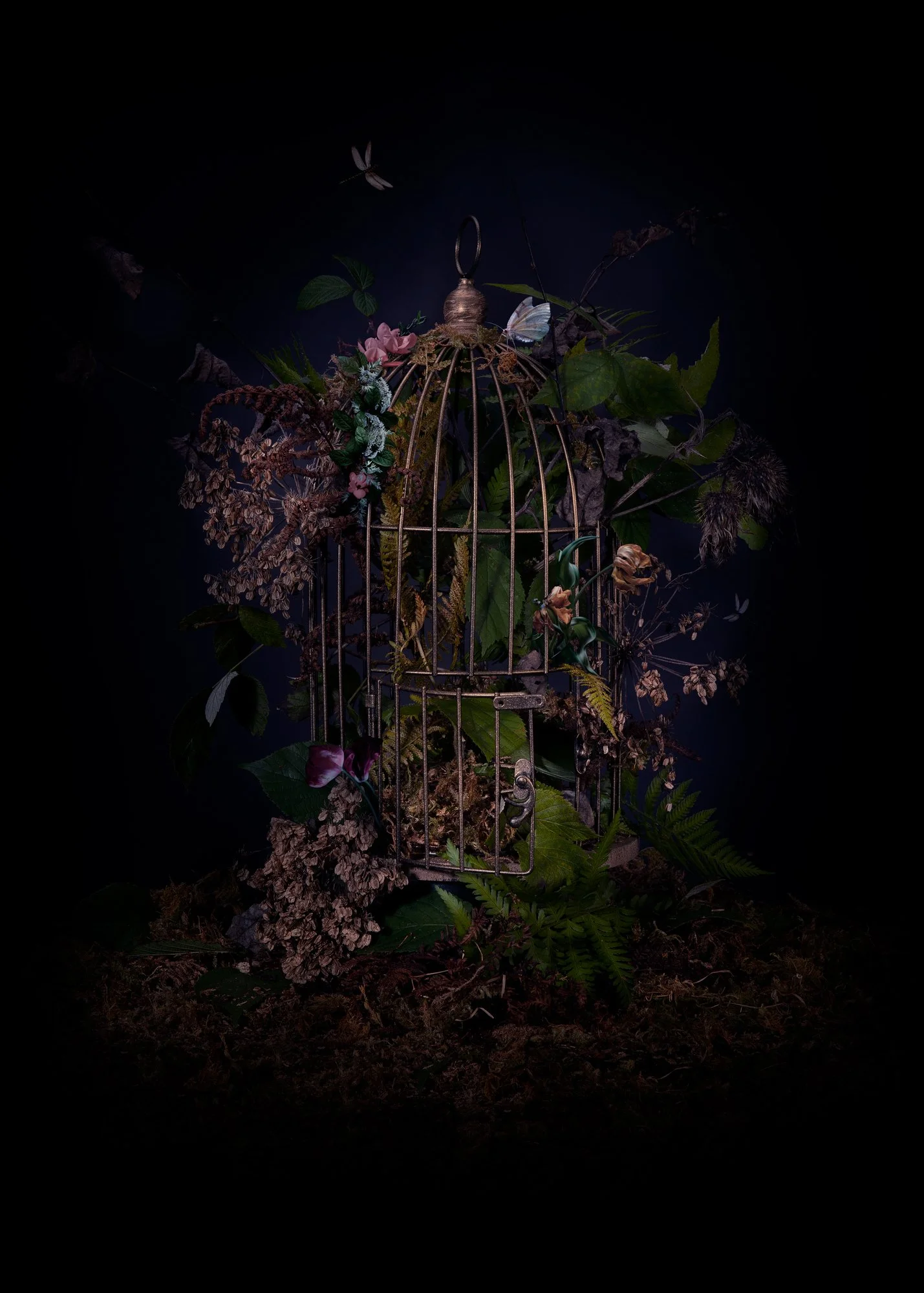 Une cage en métal suspendue, garnie de fleurs et de plantes, avec des papillons autour, dans un environnement sombre.