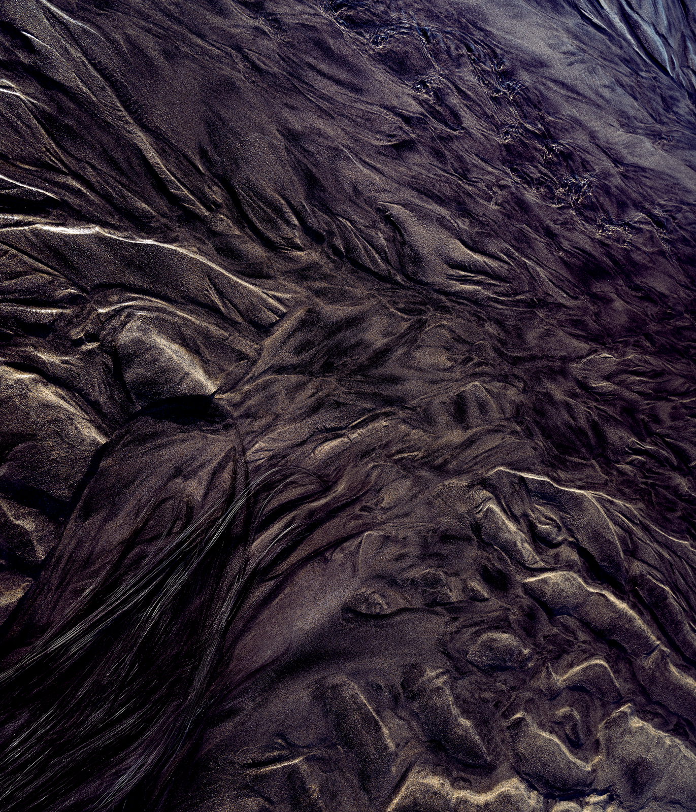 Hairs_2.png