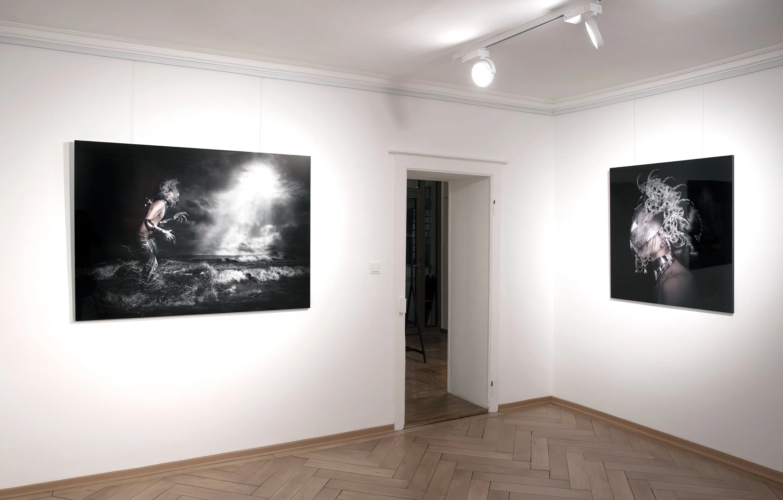 "Chimères" - Galerie Zwahlen, CH