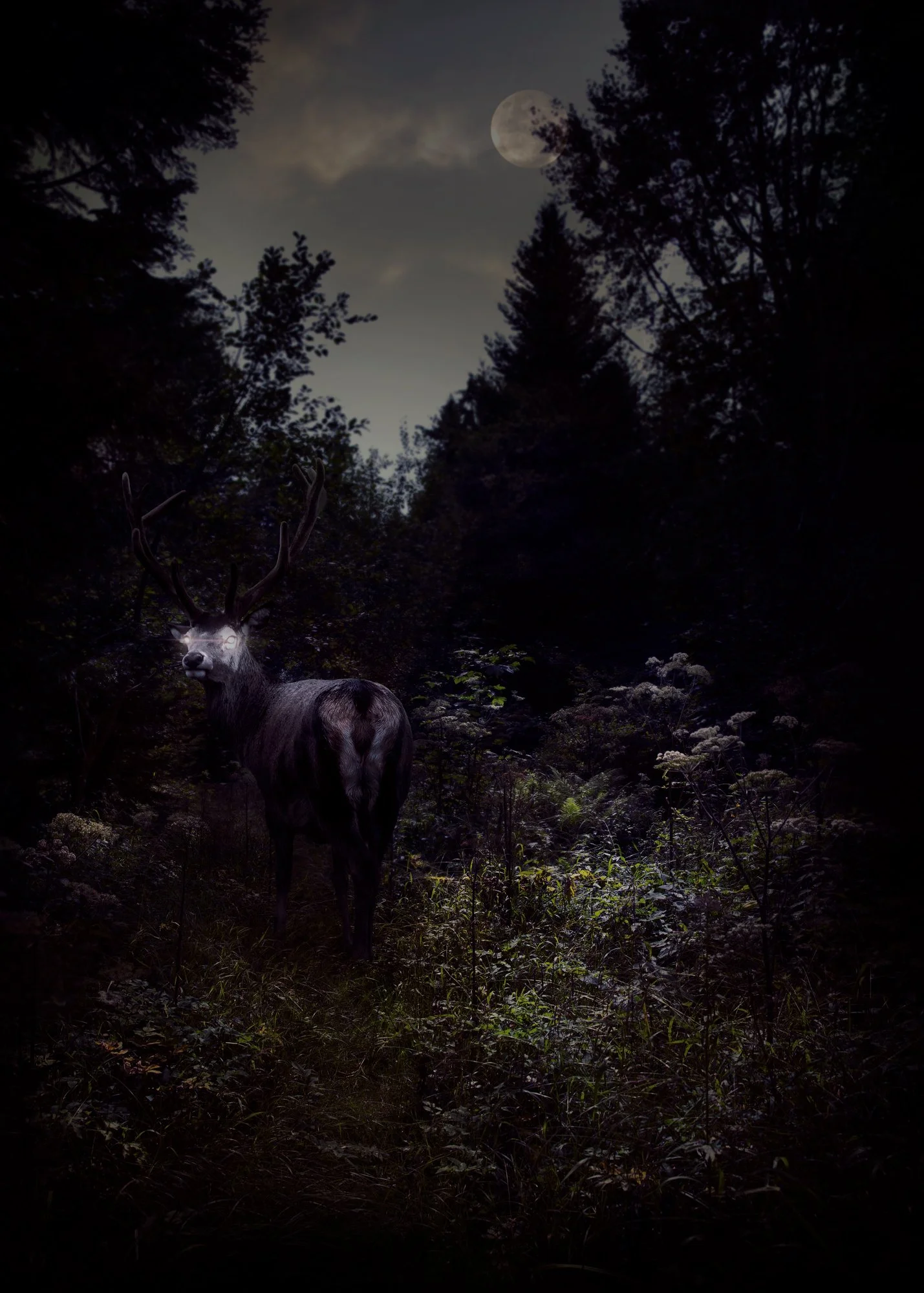 Un cerf avec des bois dans une forêt sombre sous un ciel nuageux avec la lune visible.