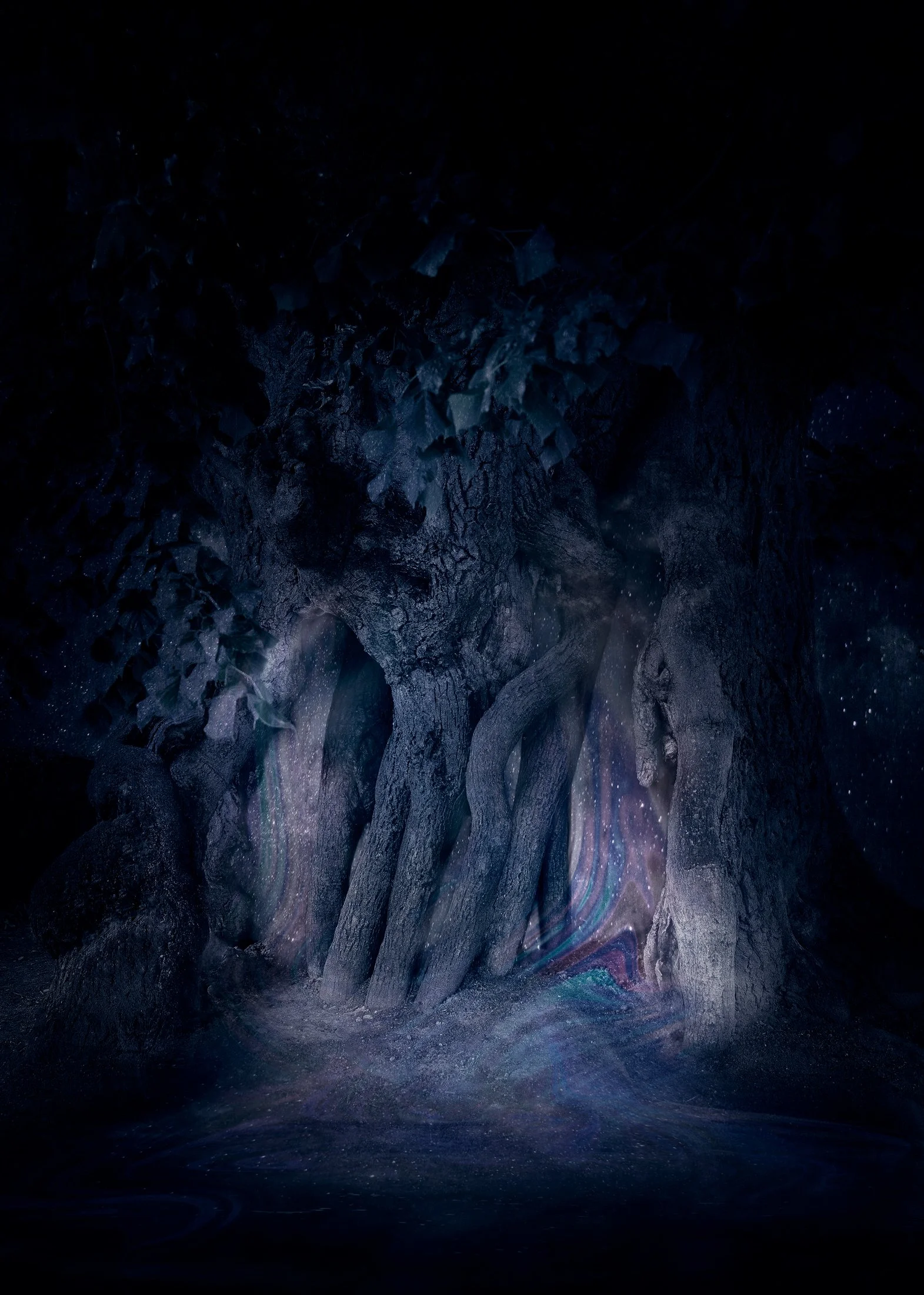Caverne mystérieuse aux formations rocheuses sombres et à la lumière douce, avec des créatures vivantes et des reflets lumineux fantastiques.