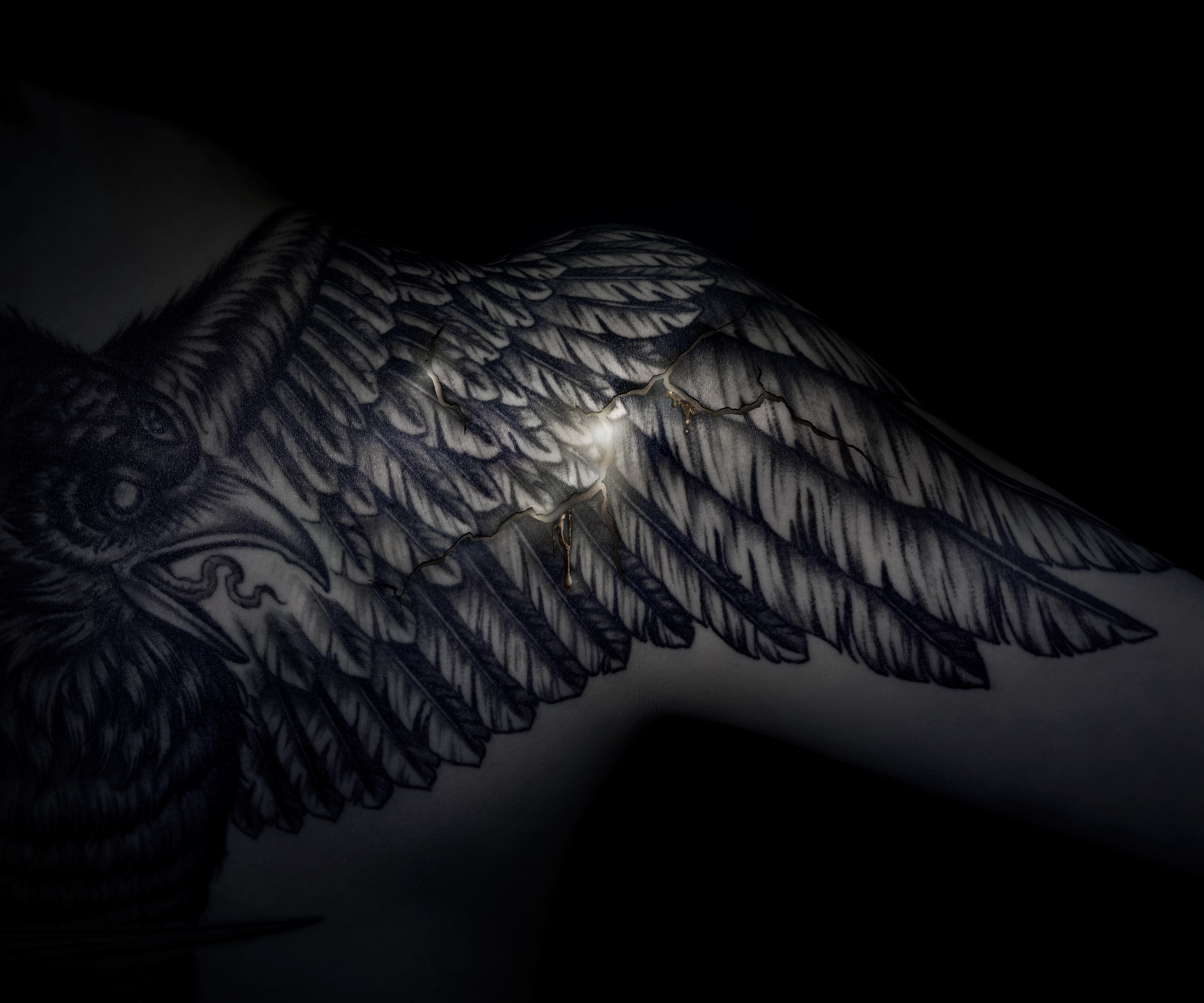 Vestige II, Light through your lines