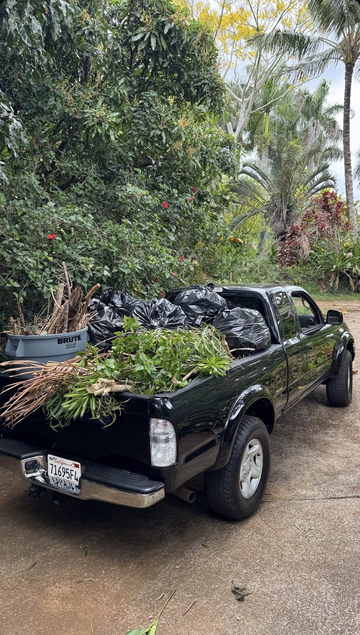 Clean up & Hauling