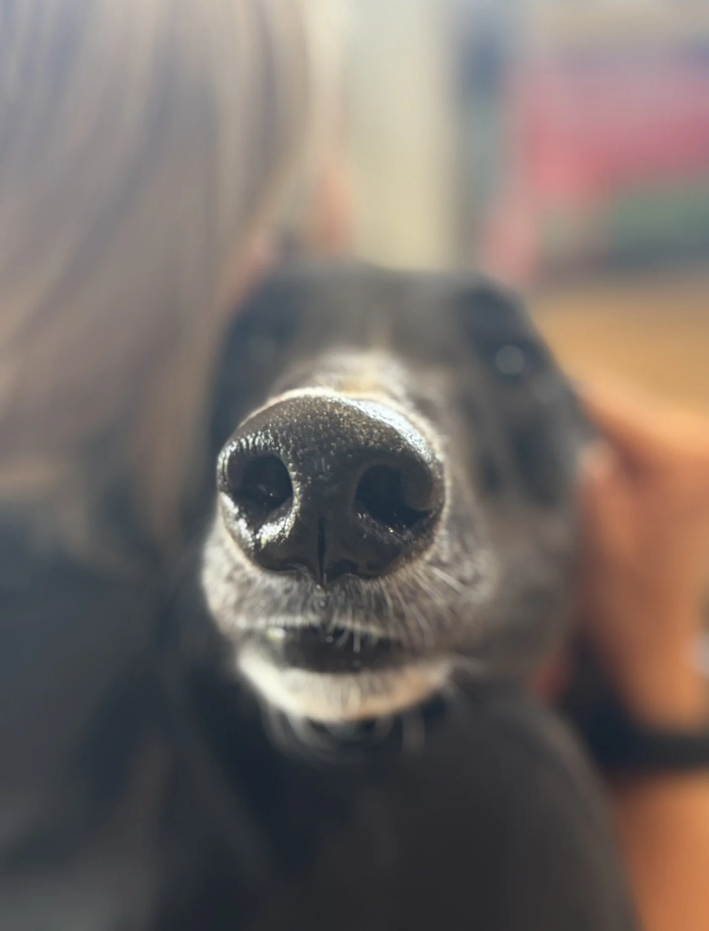 Charlie2.2.jpeg