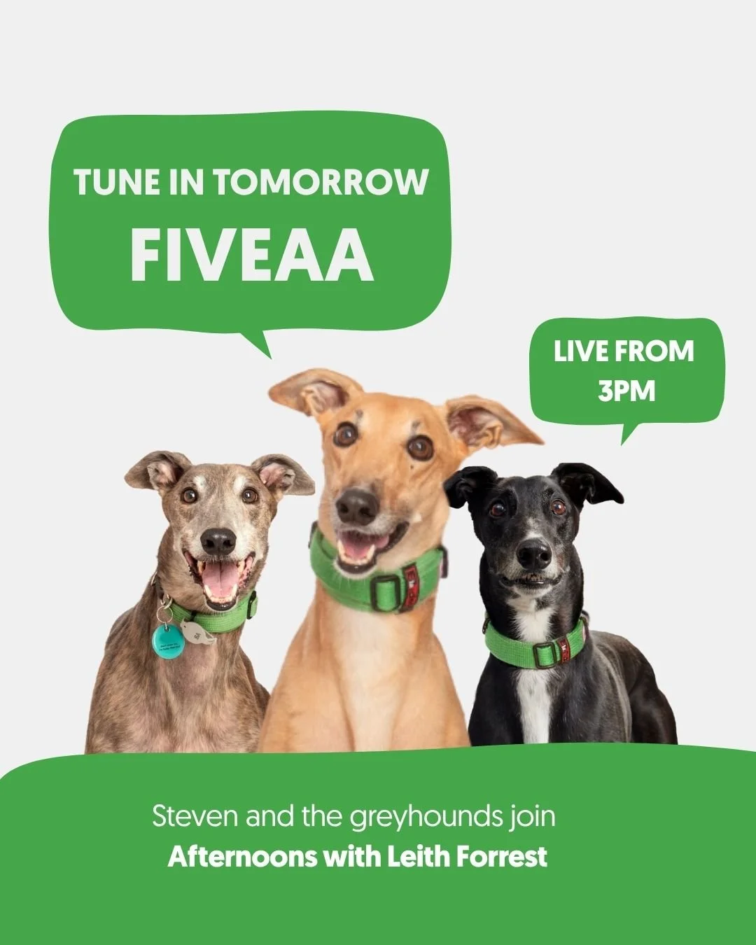 📻 Tune in to FIVEAA from 3pm tomorrow!

GAP Manager Steven Weinert will be joining Leith Forrest live on air with a few special greyhound guests to chat all things greyhounds and our new Angle Park Adoption Centre 💚🐾

Listen live: https://fiveaa.c