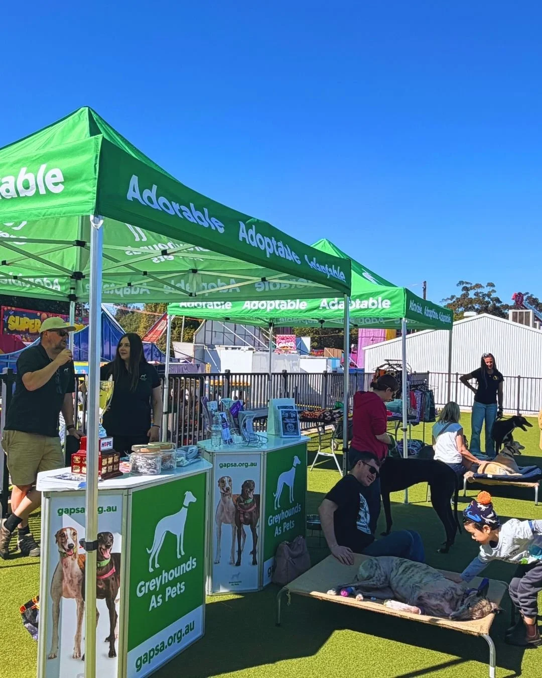 What a wonderful day at the Gawler Show! 💚🐾

Thank you to everyone who stopped by on Saturday to meet our greyhounds and enjoyed a chat and pat.

The biggest highlight was seeing Maze meet his new family at the Show and he was picked up and welcome