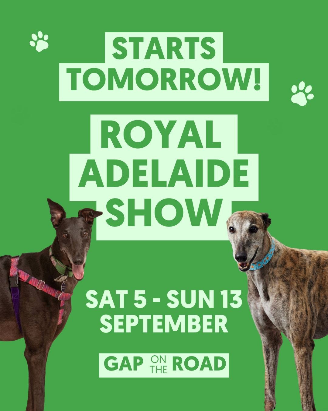 Move over showbags, the greyhounds are coming! 🎡🐾

The Royal Adelaide Show kicks off tomorrow, and GAP SA will be joining the action from 5&ndash;13 September.

Make your way to the Pet &amp; Tech Centre to discover what makes greyhounds such brill