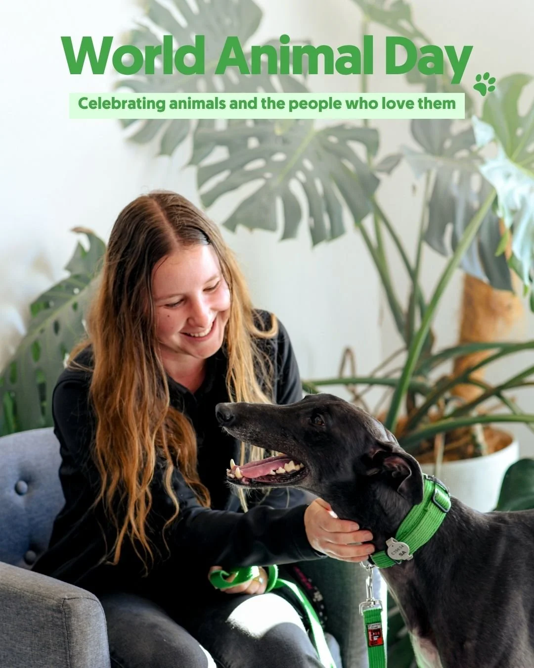 Today we&rsquo;re celebrating World Animal Day 💚

We&rsquo;re taking a moment to appreciate our gorgeous hounds and the dedicated people who help them feel safe, loved and ready for their next chapter.

At GAP SA, we&rsquo;re committed to helping gr