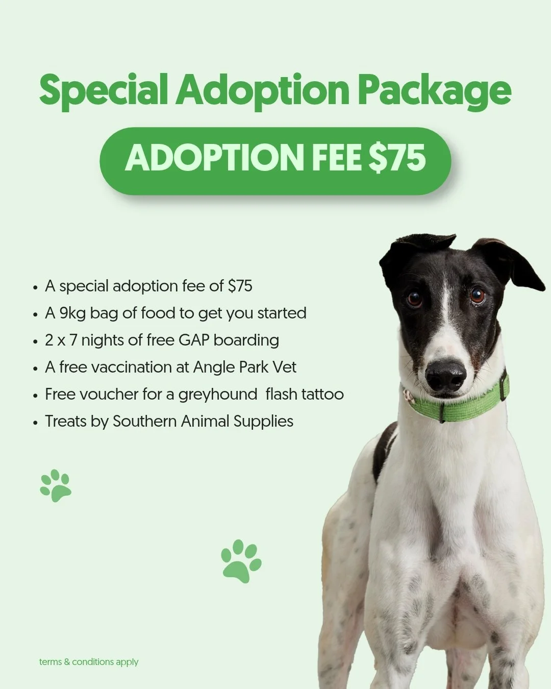 A new best friend and a few helpful extras to get your life together off to a great start! 💚

When you adopt a greyhound through GAP SA, you&rsquo;ll receive a special adoption package including:

✨ A $75 adoption fee
✨ A 9kg bag of food
✨ 7 nights 
