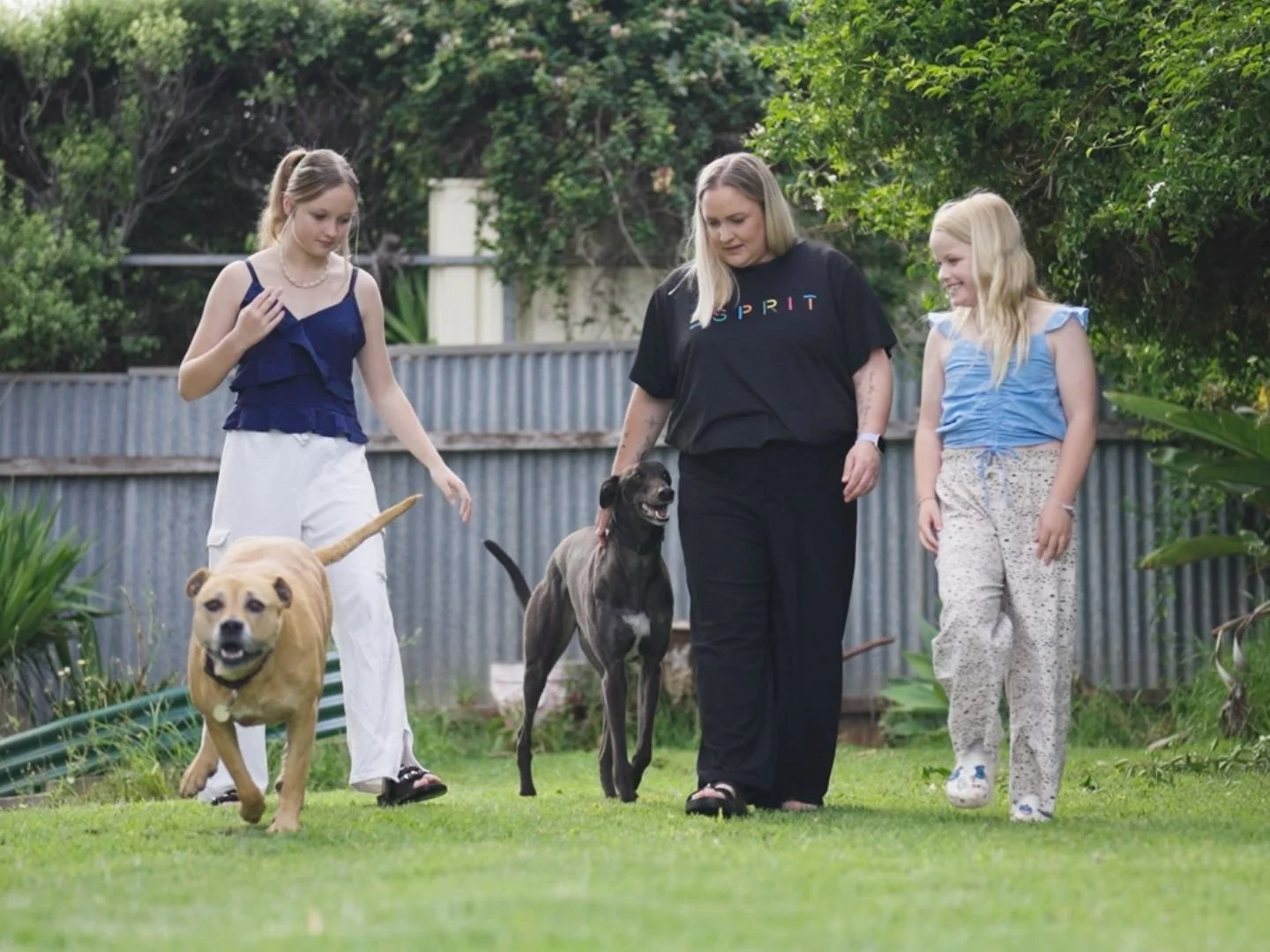 Woman with two girls and greyhound