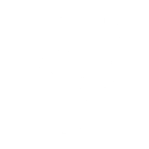 Stethoscope vet outline vector