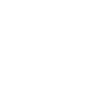 Dog bone outline vector