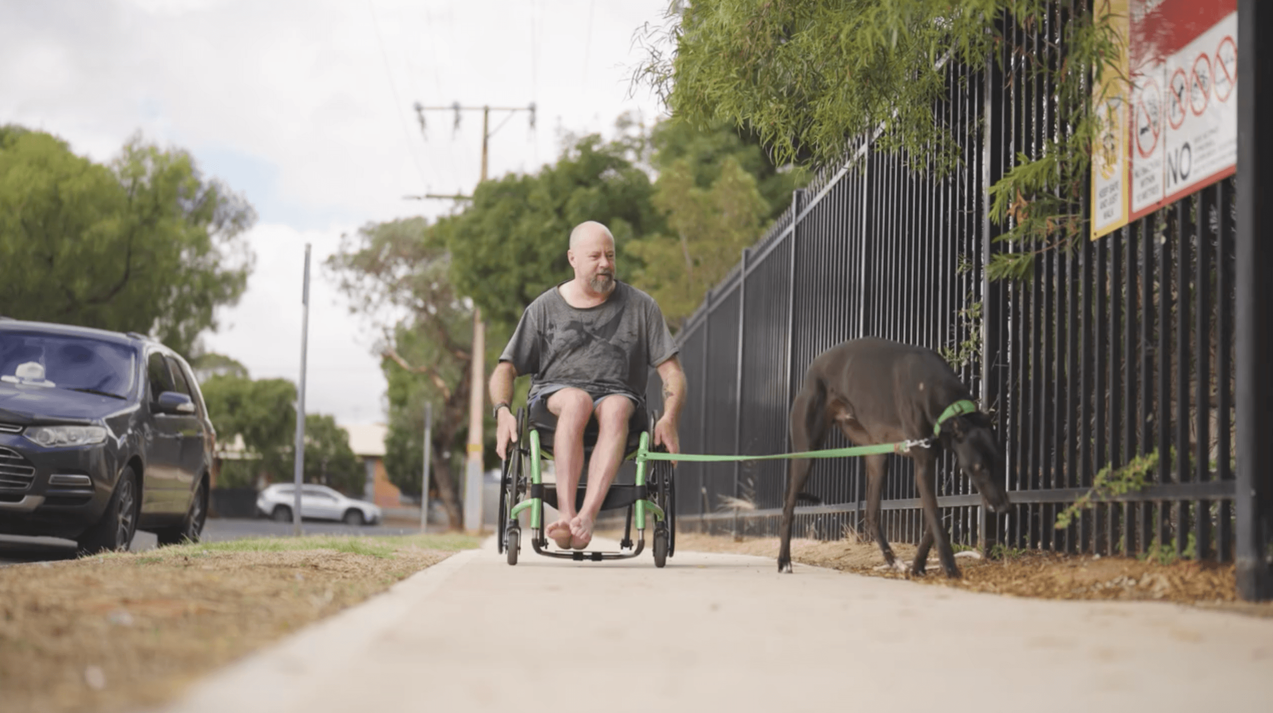 Man in wheelchair walking greyhound