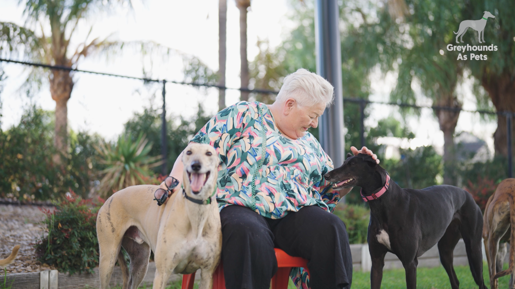 Cheryl with her two greyhound pets
