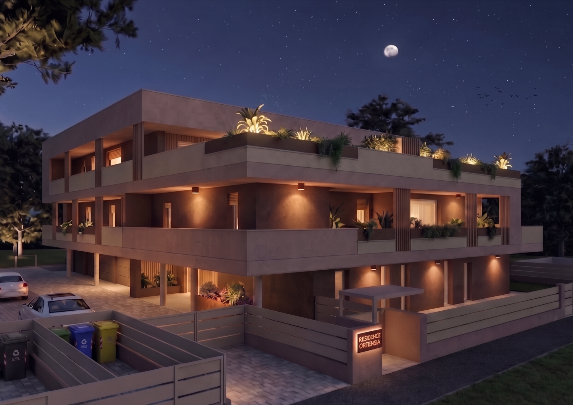 ortensia_notte.png