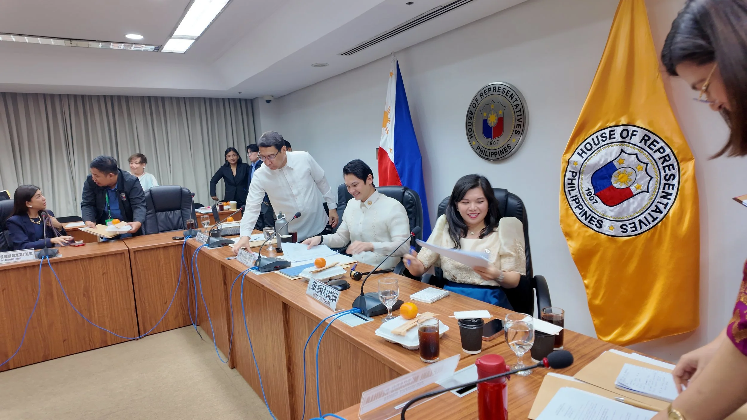 COMMITTEE ON CREATIVE INDUSTRIES MEETING.jpg