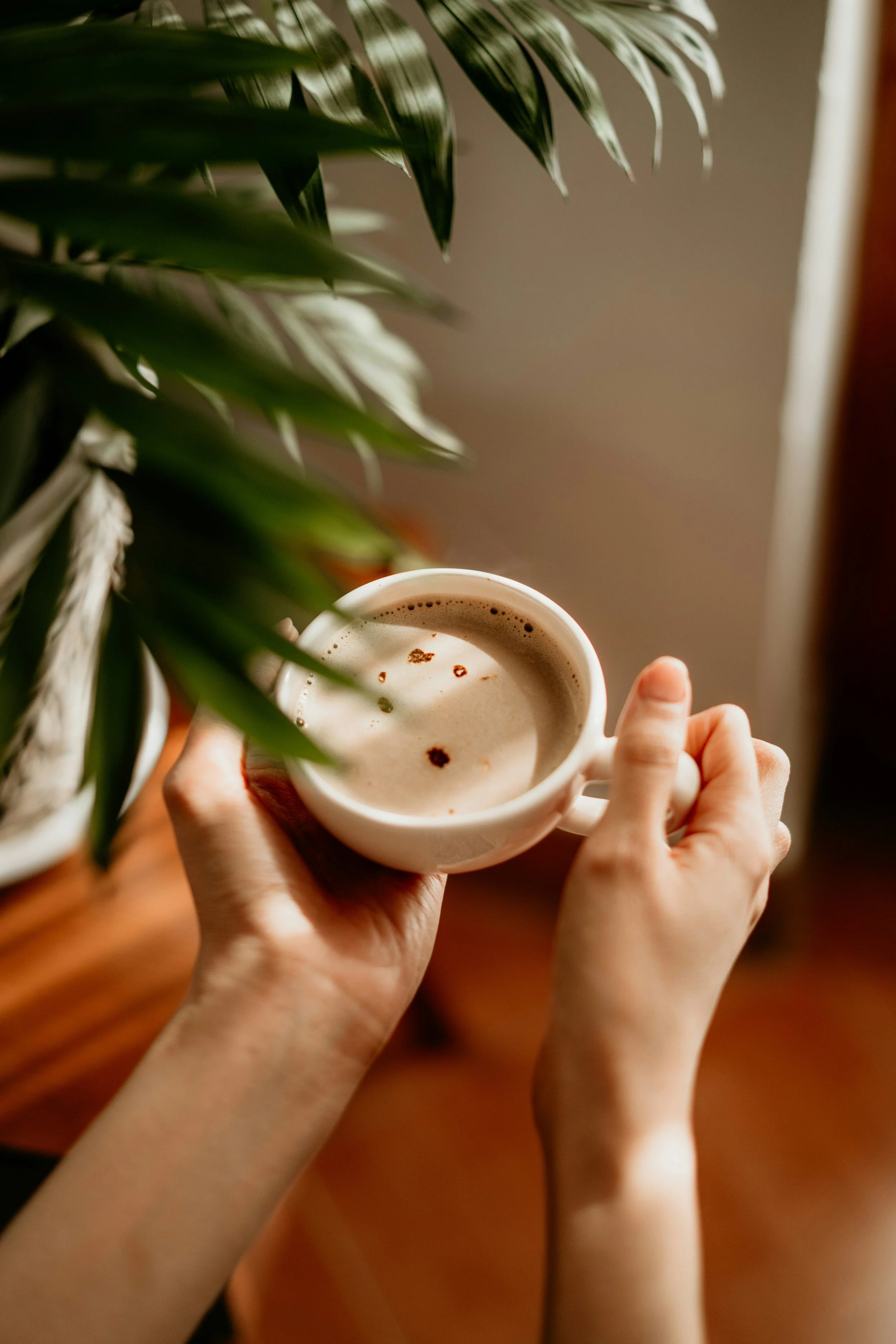A person holding a white mug filled with coffee topped with foam and sprinkled with cocoa powder next to a potted leafy green plant, on a wooden surface.