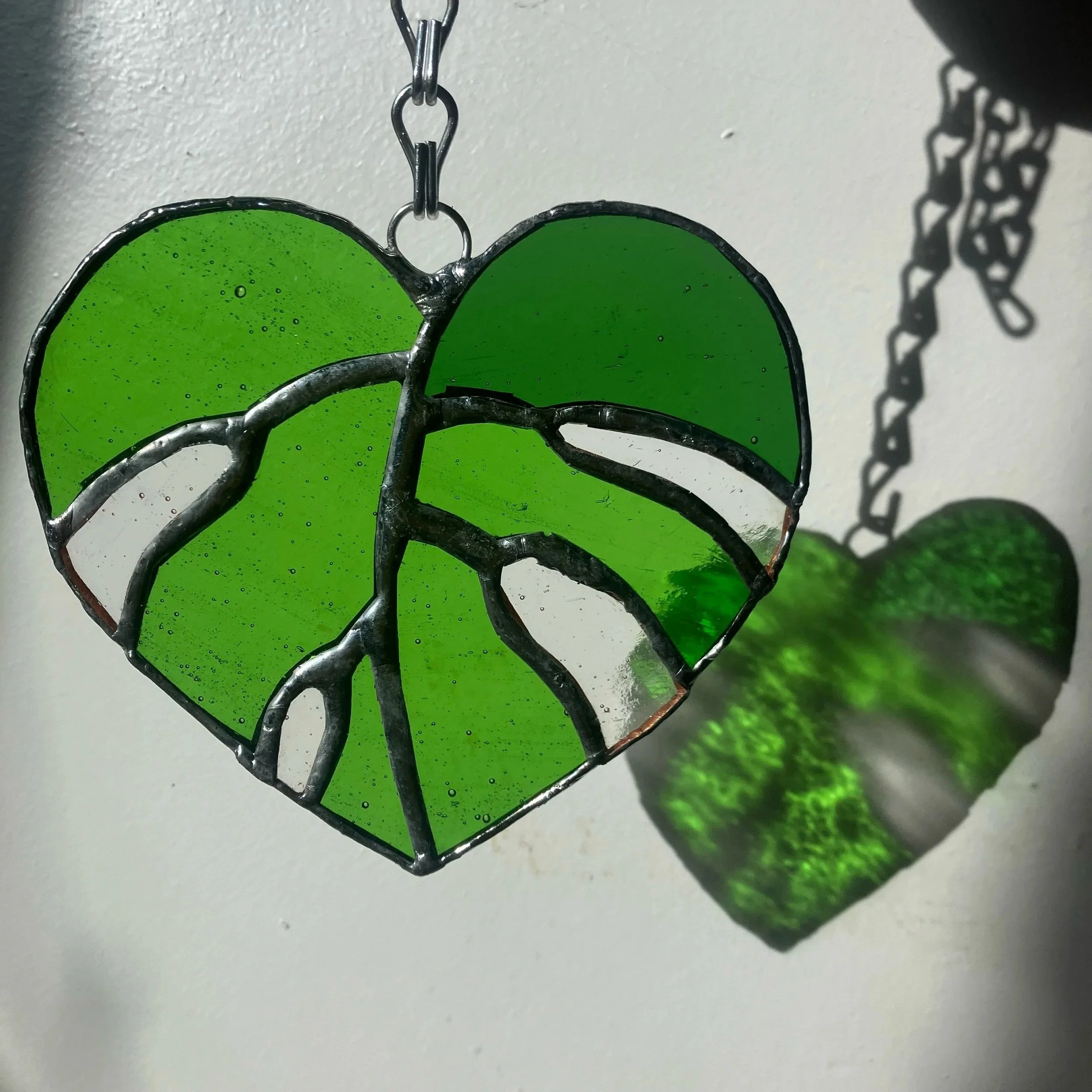 The Monstera Heart