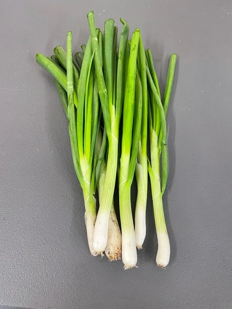onion.jpg