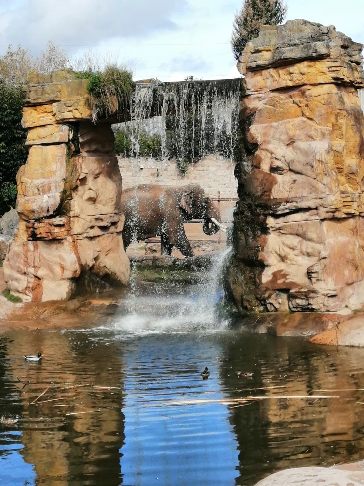 Chester Zoo
