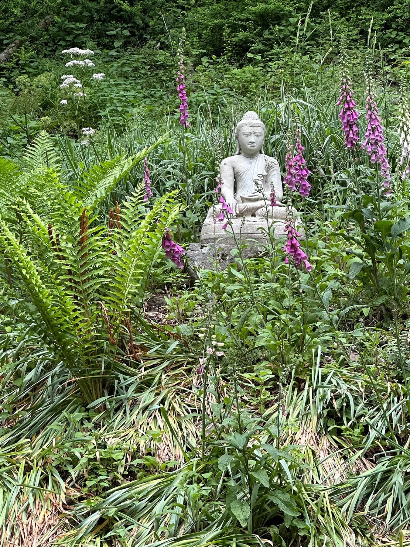 A stone Buddha statue sitting surrounded by lush green plants, tall purple and white flowers, ferns, and dense foliage in a garden or natural setting.