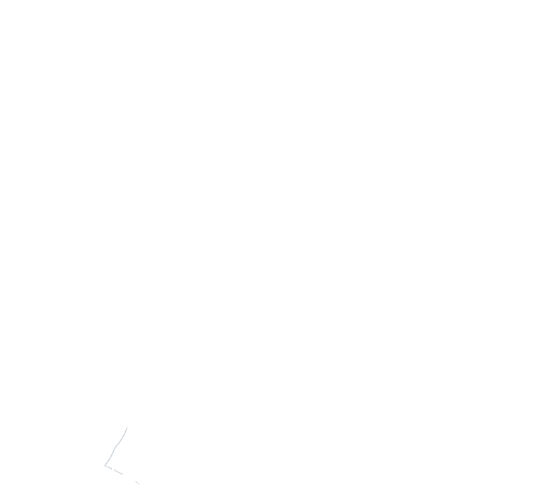 Stylized white outline of a lily flower with leaves on a black background.