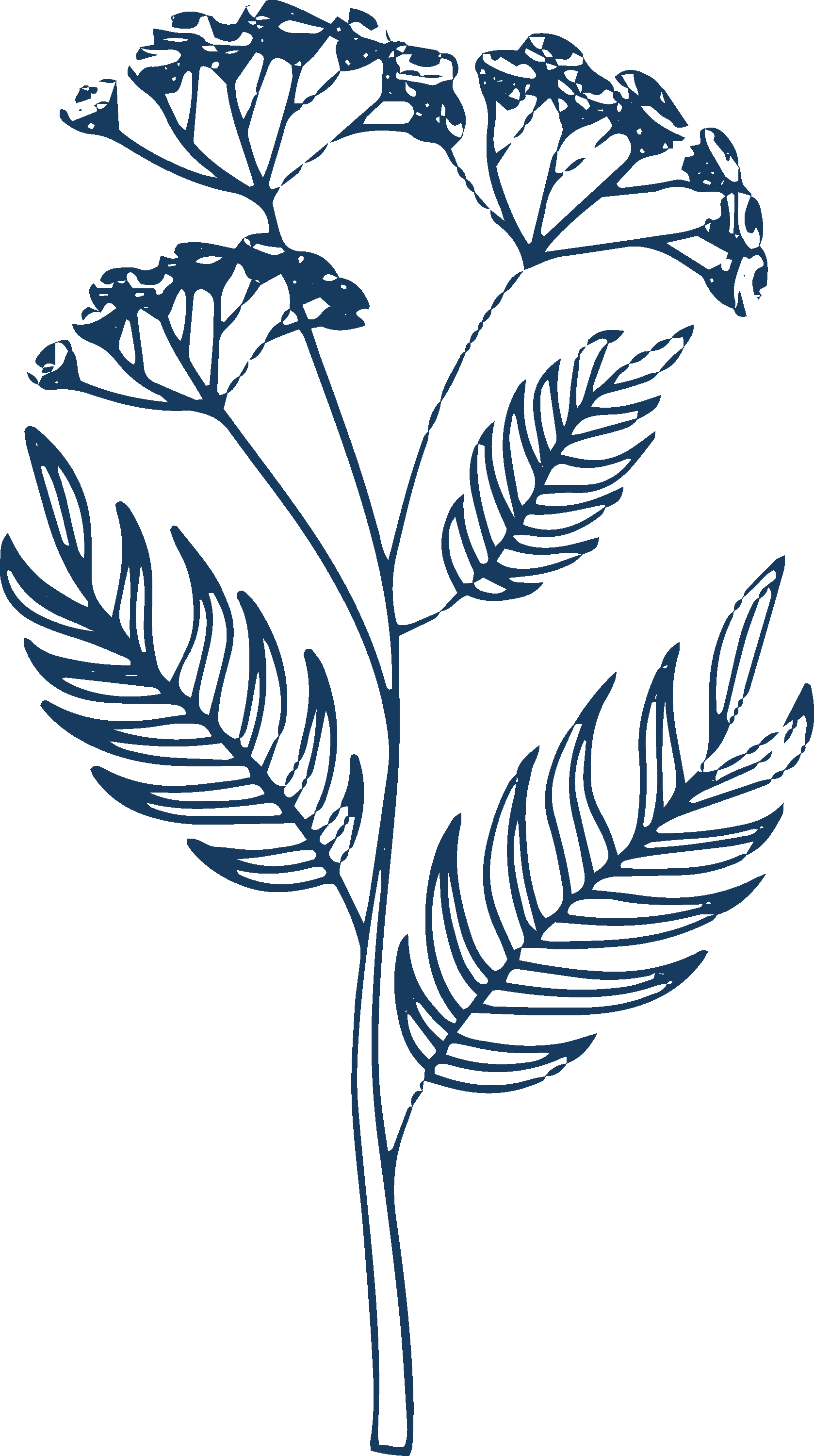 Blue outline of a floral branch with flowers and leaves on a black background.