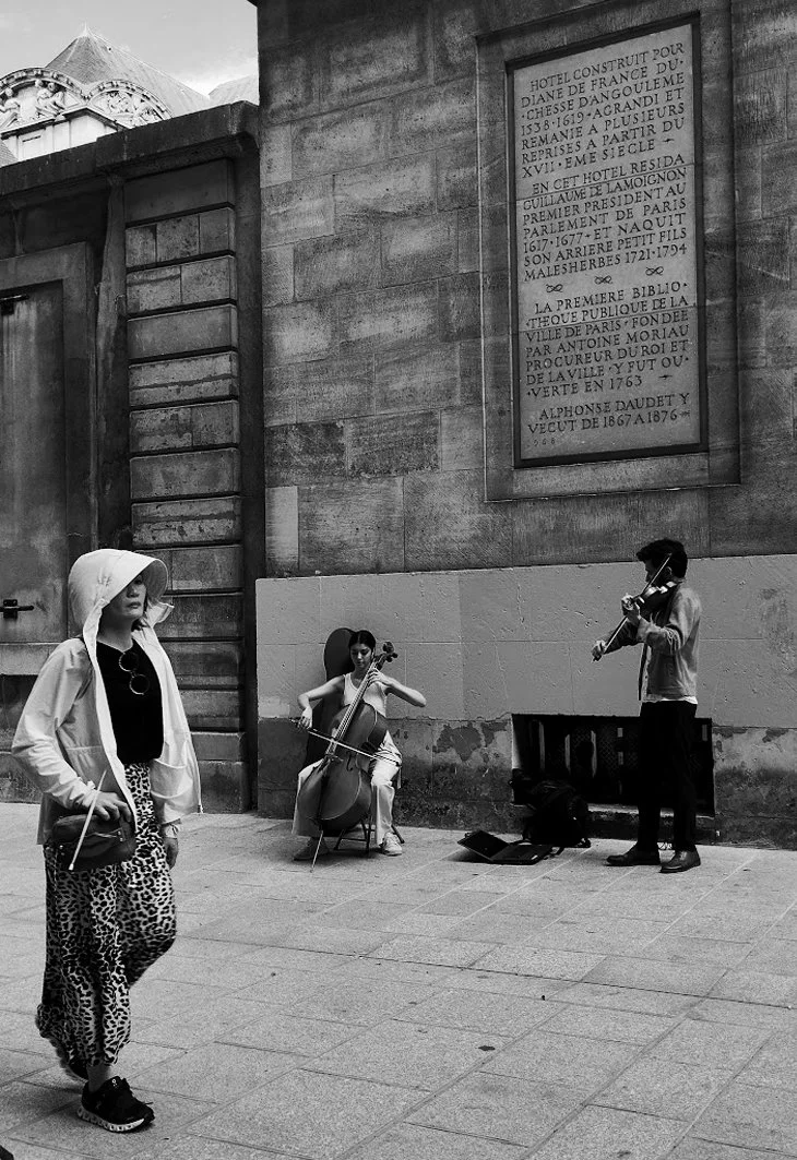 violon.jpg