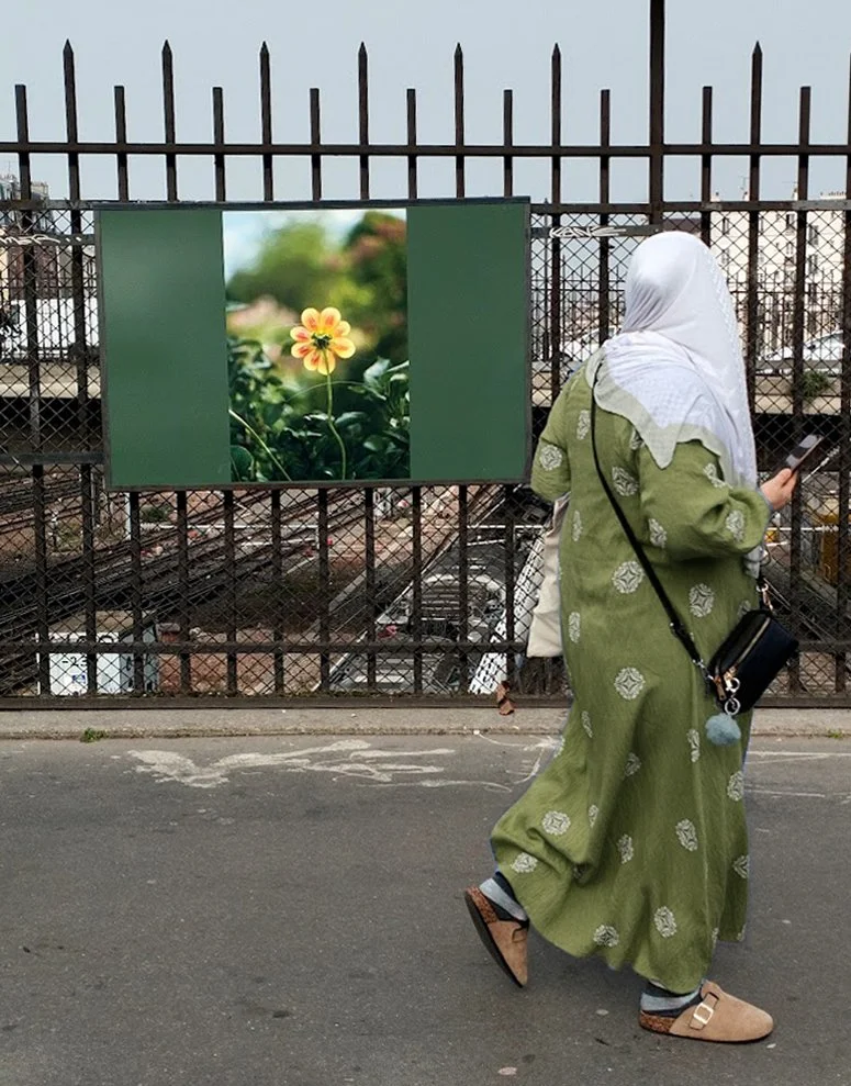 flower.jpg