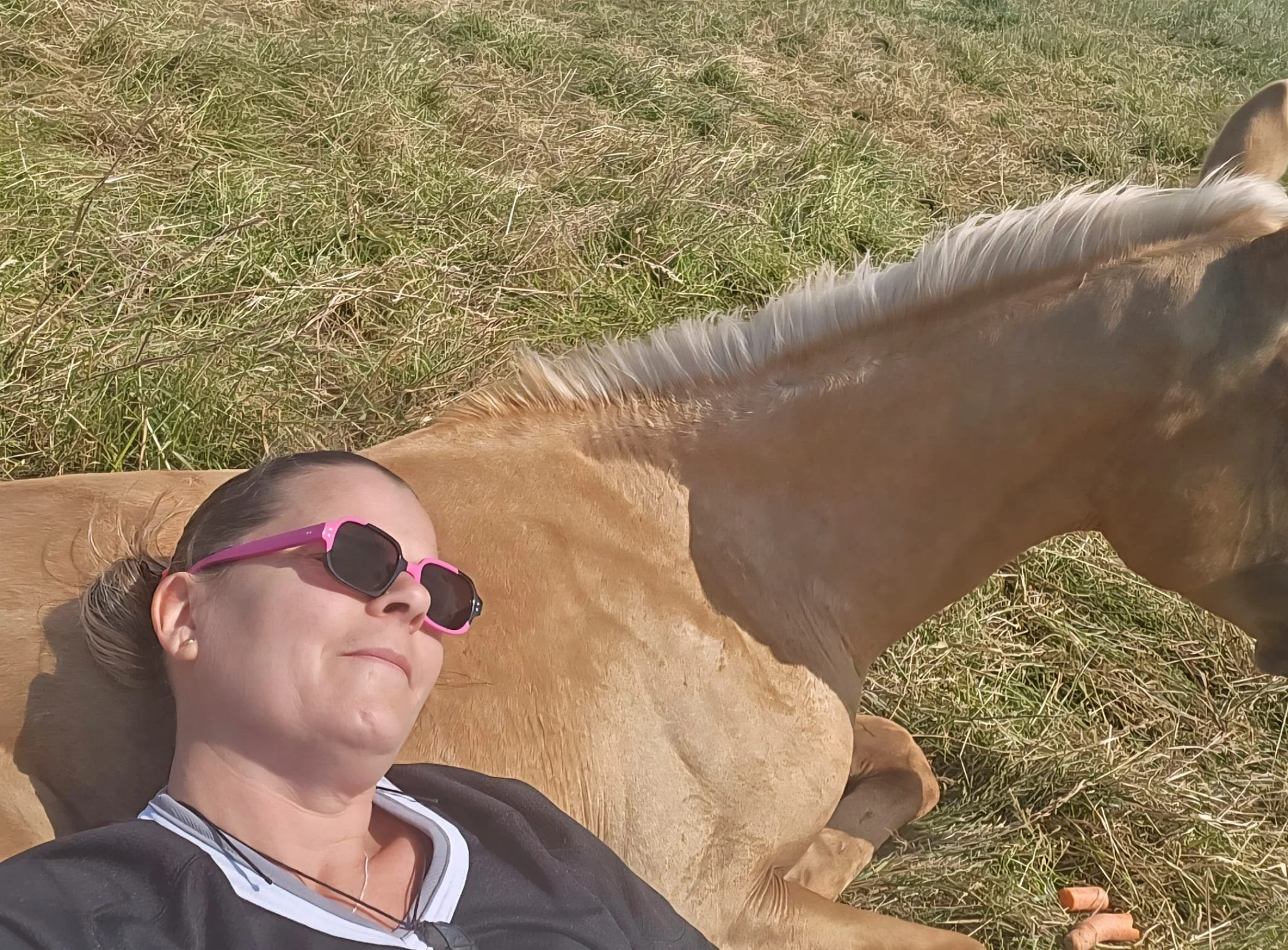 Une jeune fille portant des lunettes de soleil roses repose sur un cheval beige dans un champ herbeux.
