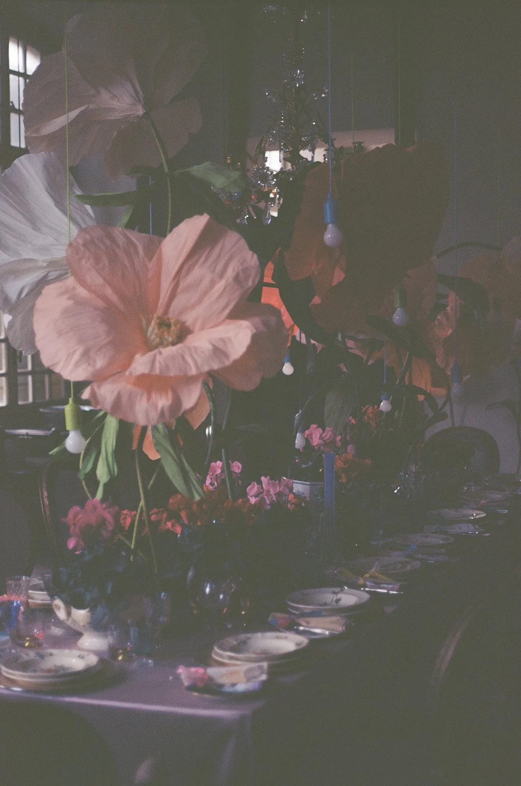 film145 2.JPG