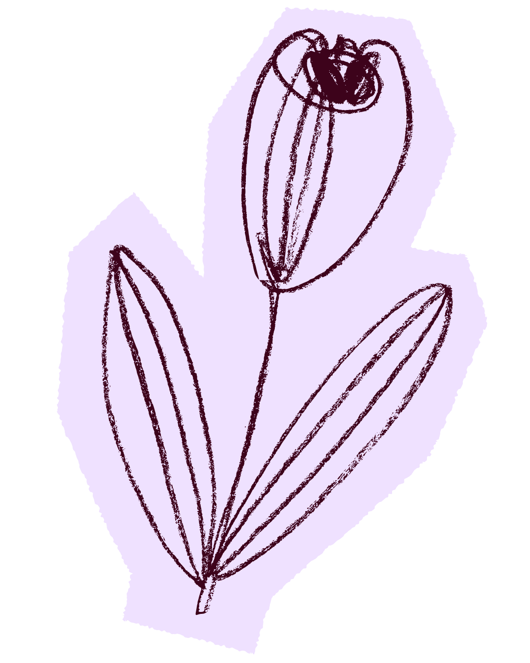 Line drawing of a blooming flower with elongated leaves on a purple background.