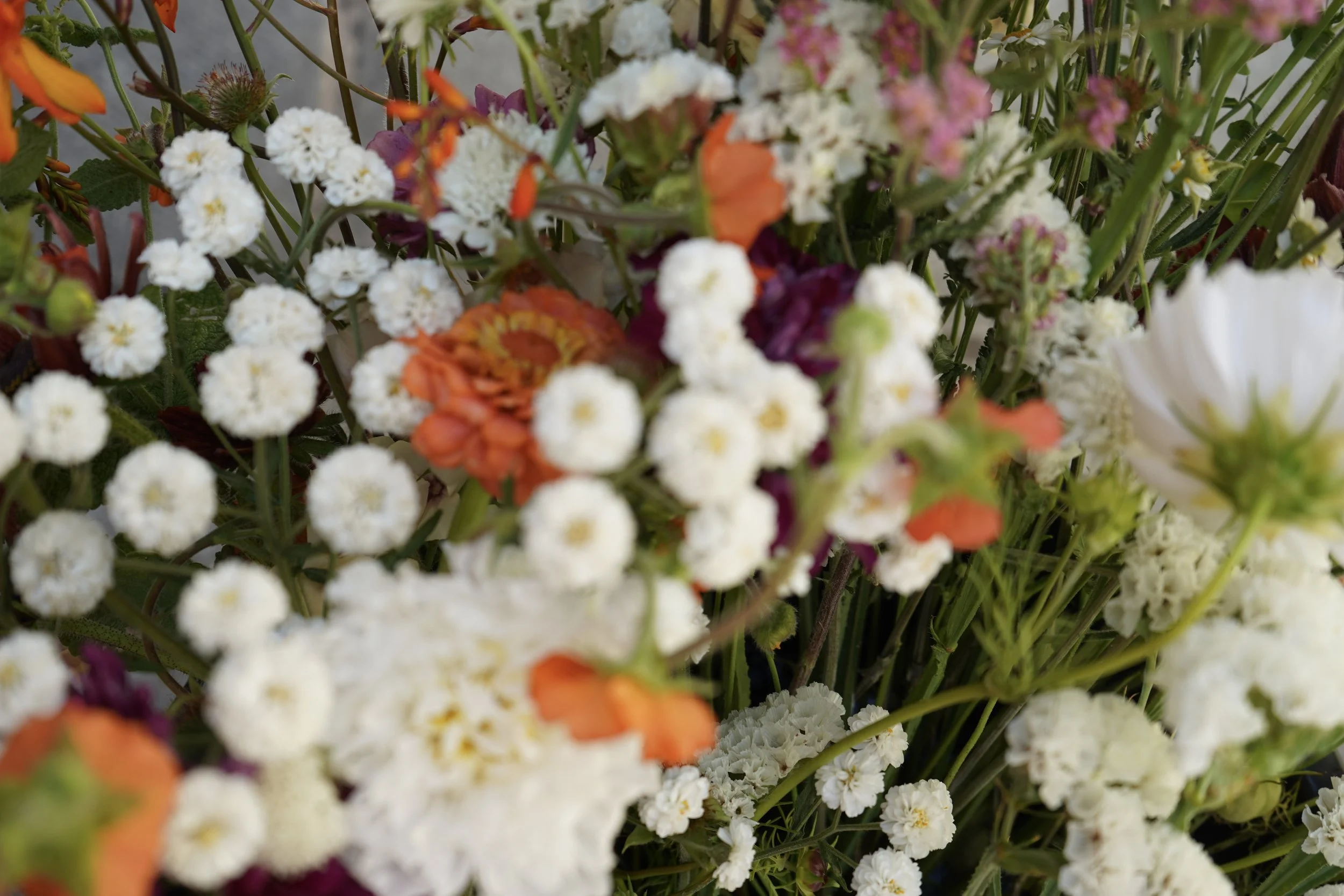 Close-up of a colorful bouquet of various flowers, including white, orange, purple, and pink blossoms.
