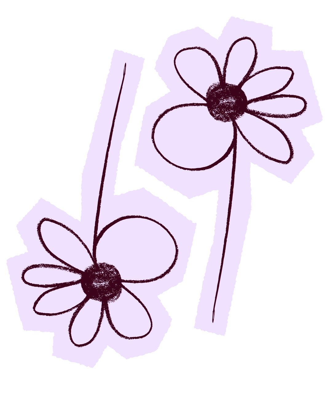 Illustration of two daisy flowers with stems, drawn with simple lines in purple and black on a white background.
