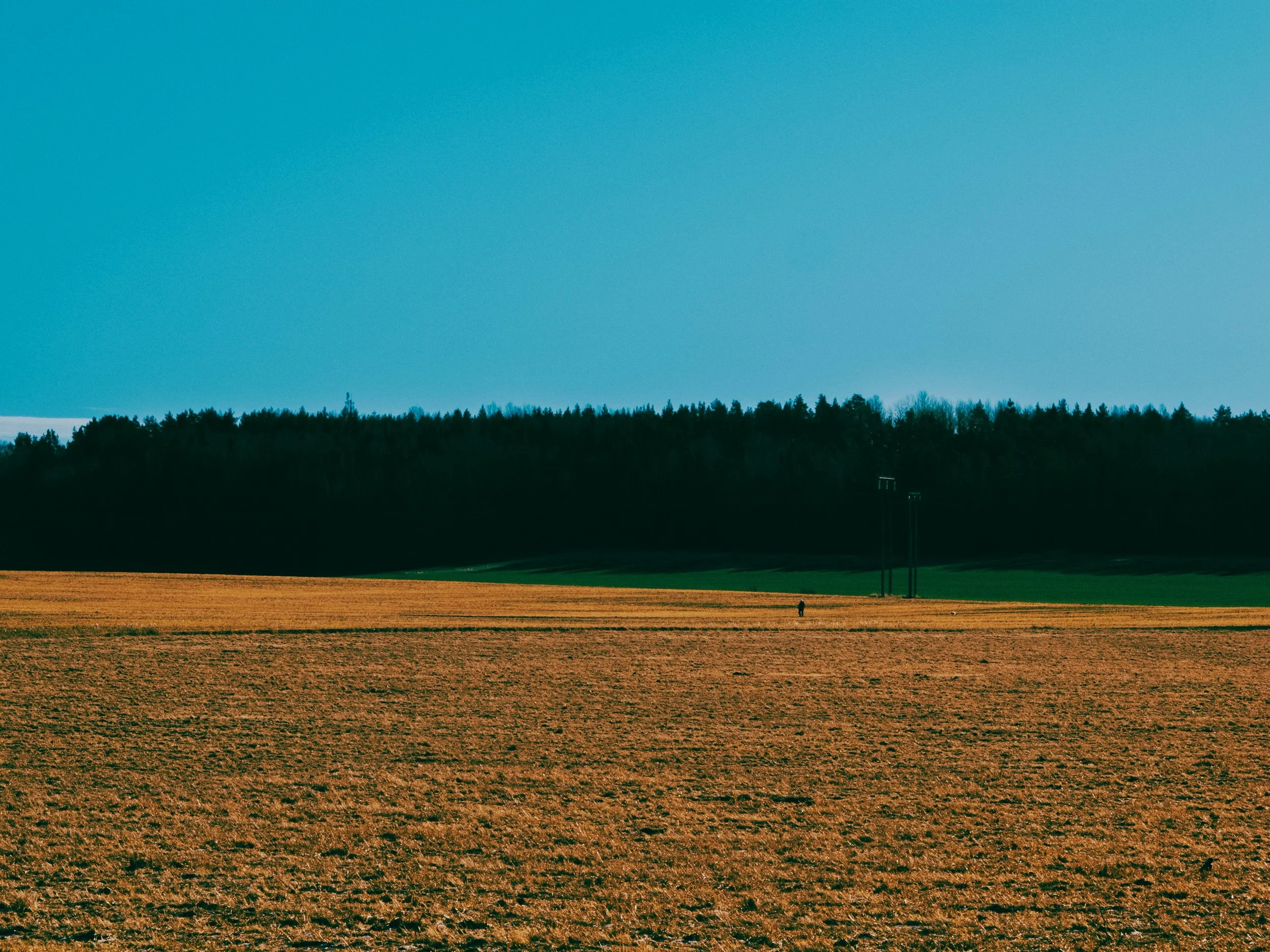 Landskapsbild av ett fält med jord, en skog i bakgrunden och en klar blå himmel.