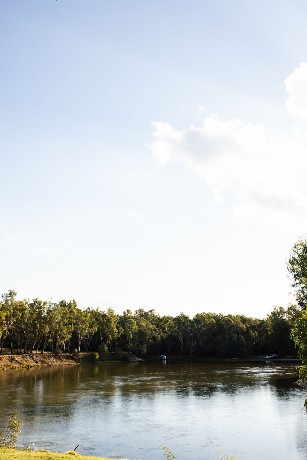 EJI-THESCHIFFERLEs-0727.jpg