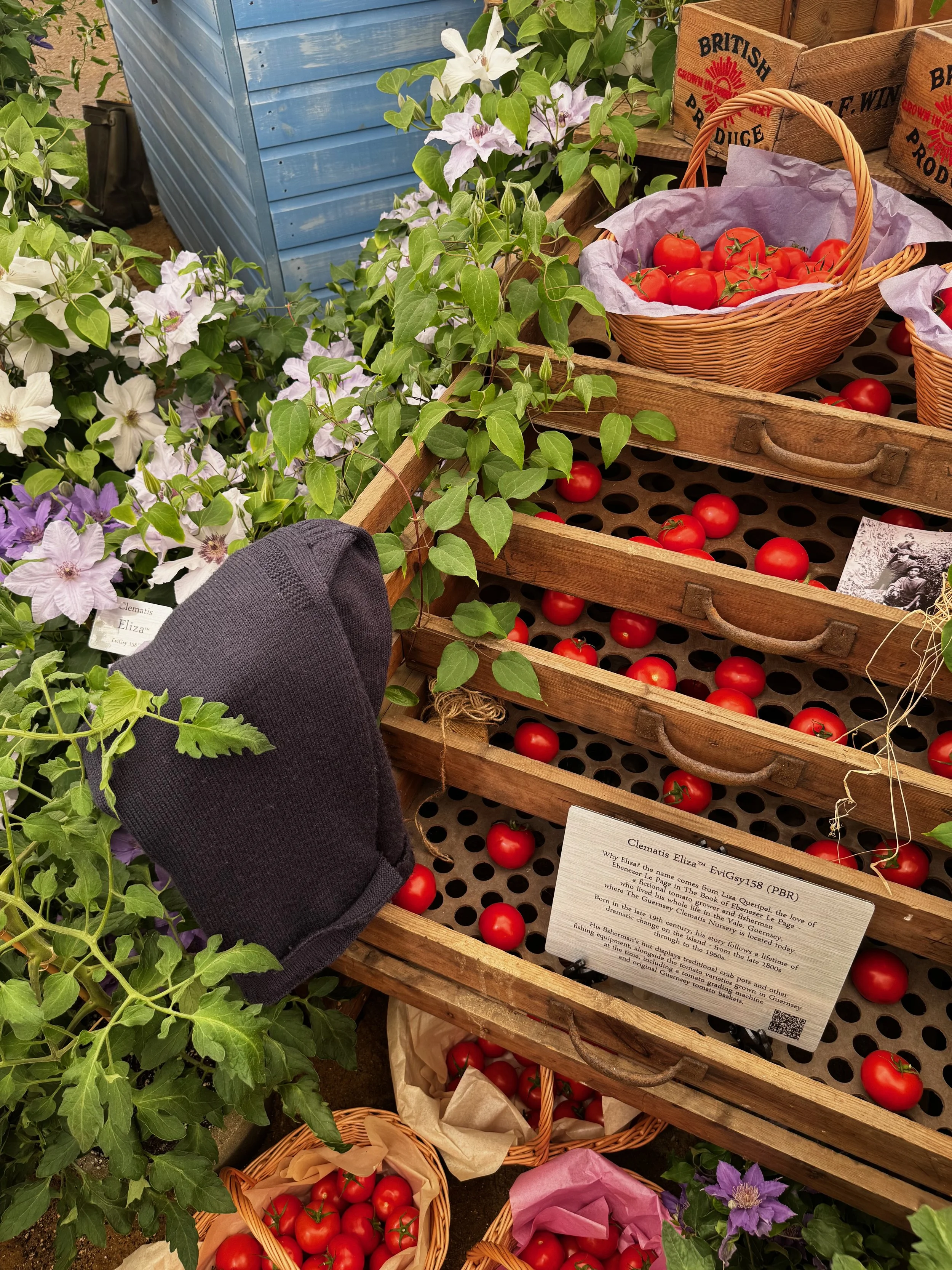 Guernsey Baskets at Chelsea Flower Show