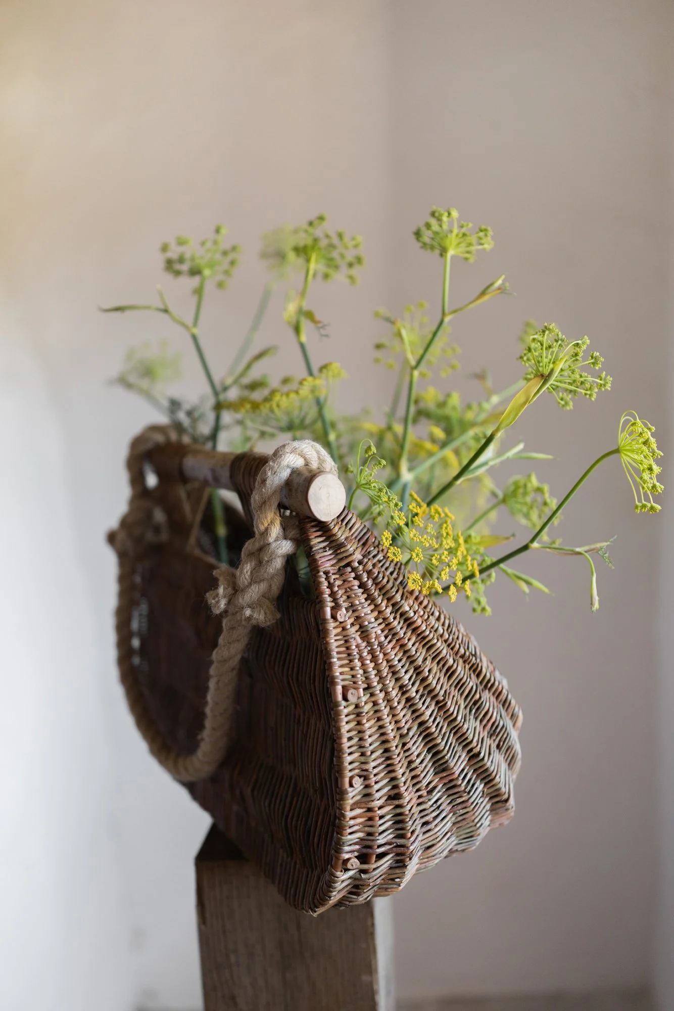 Guernsey-Willow-Baskets_viaer-ponier-a-cou-wild-fennel-5.jpg