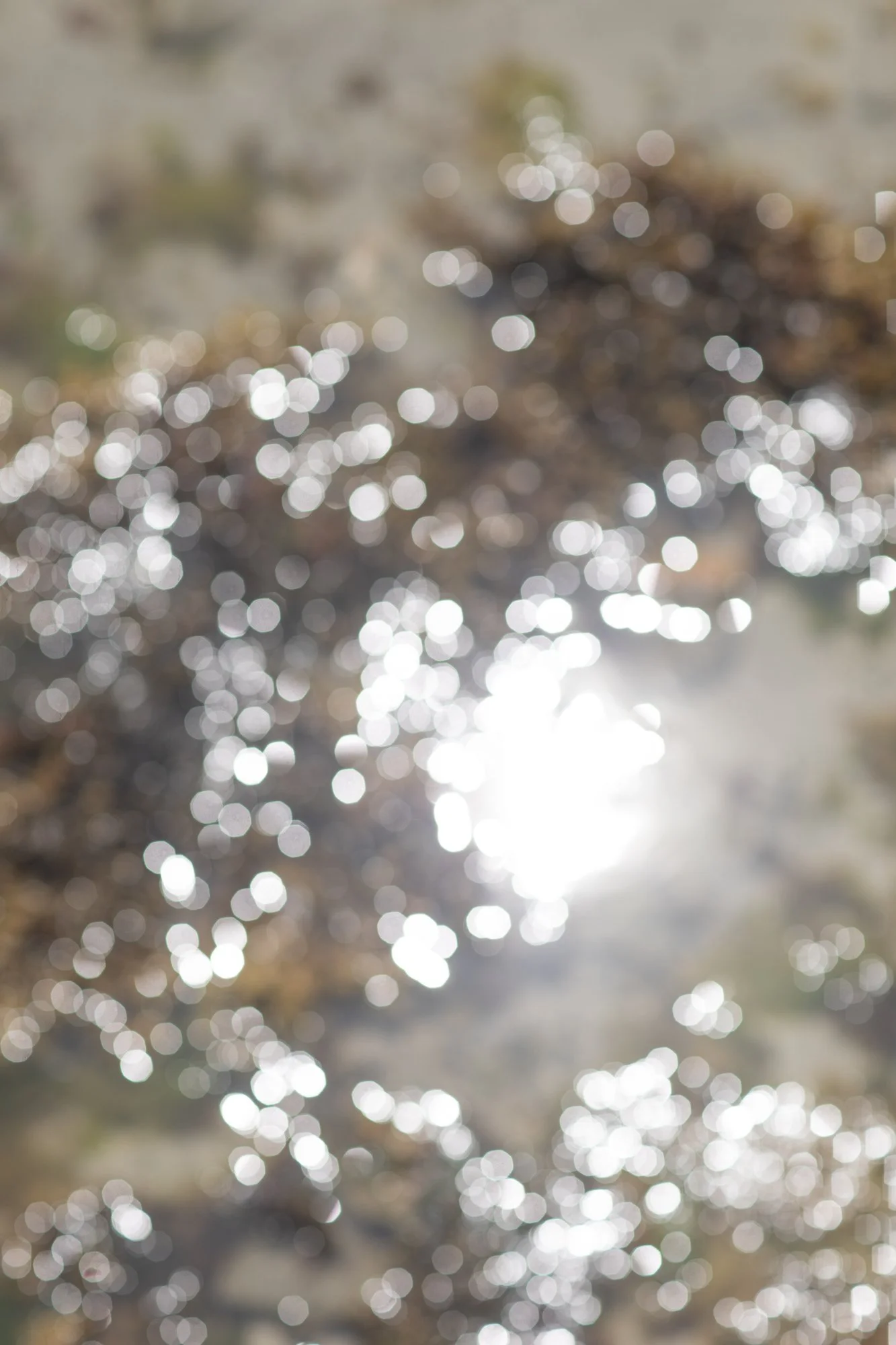 Guernsey-Willow-Baskets-water-sparkles.jpg