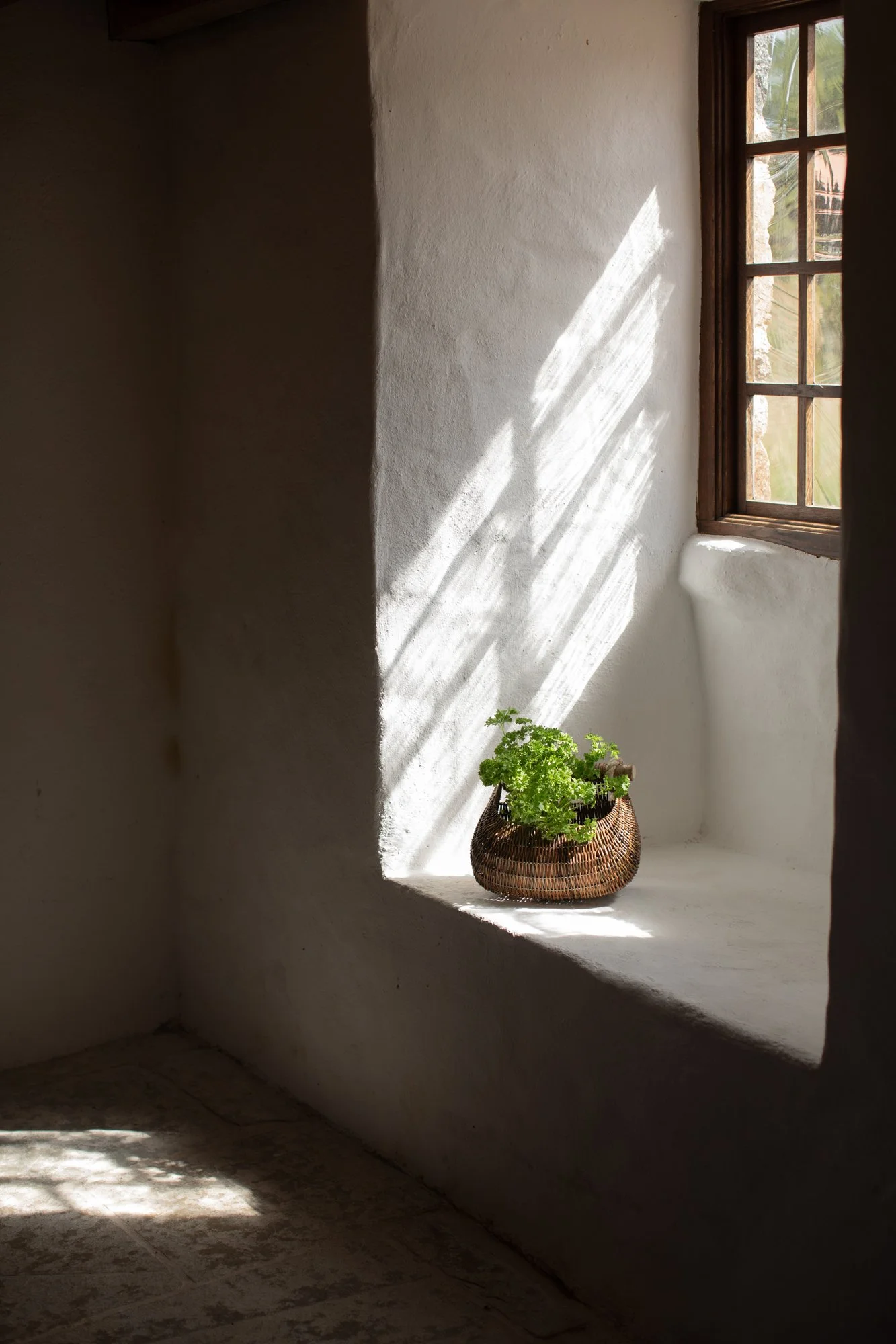 Guernsey-Willow-Baskets_parsley.jpg