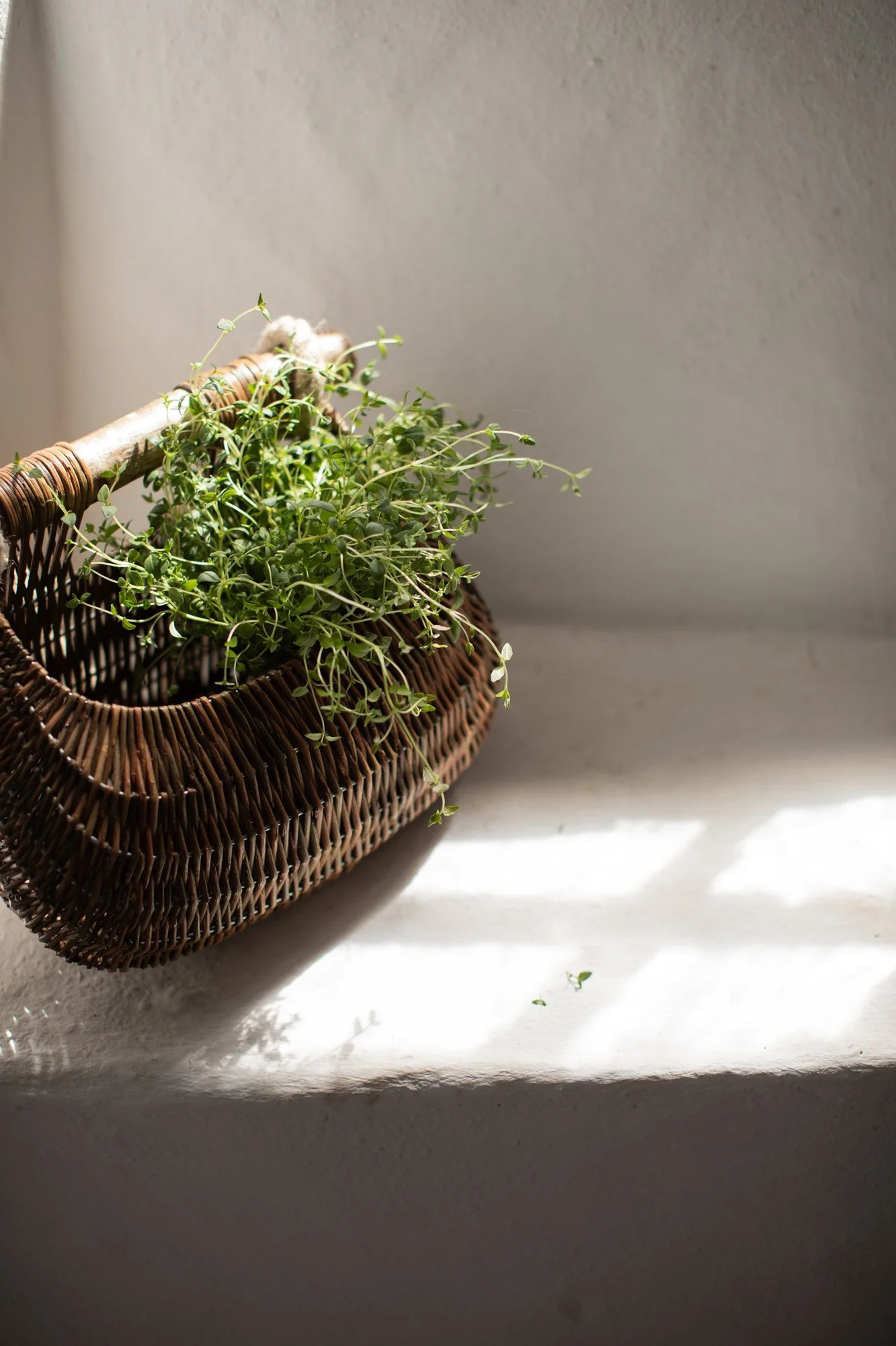 Guernsey-Willow-Baskets_thyme.jpg