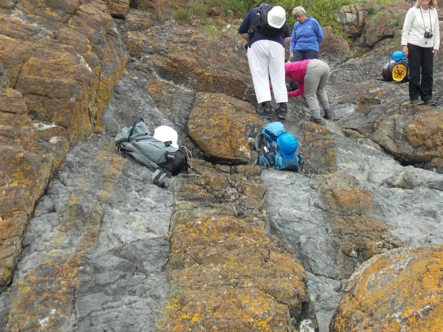 Group of people studying the dunite and peridotite at Coverack.